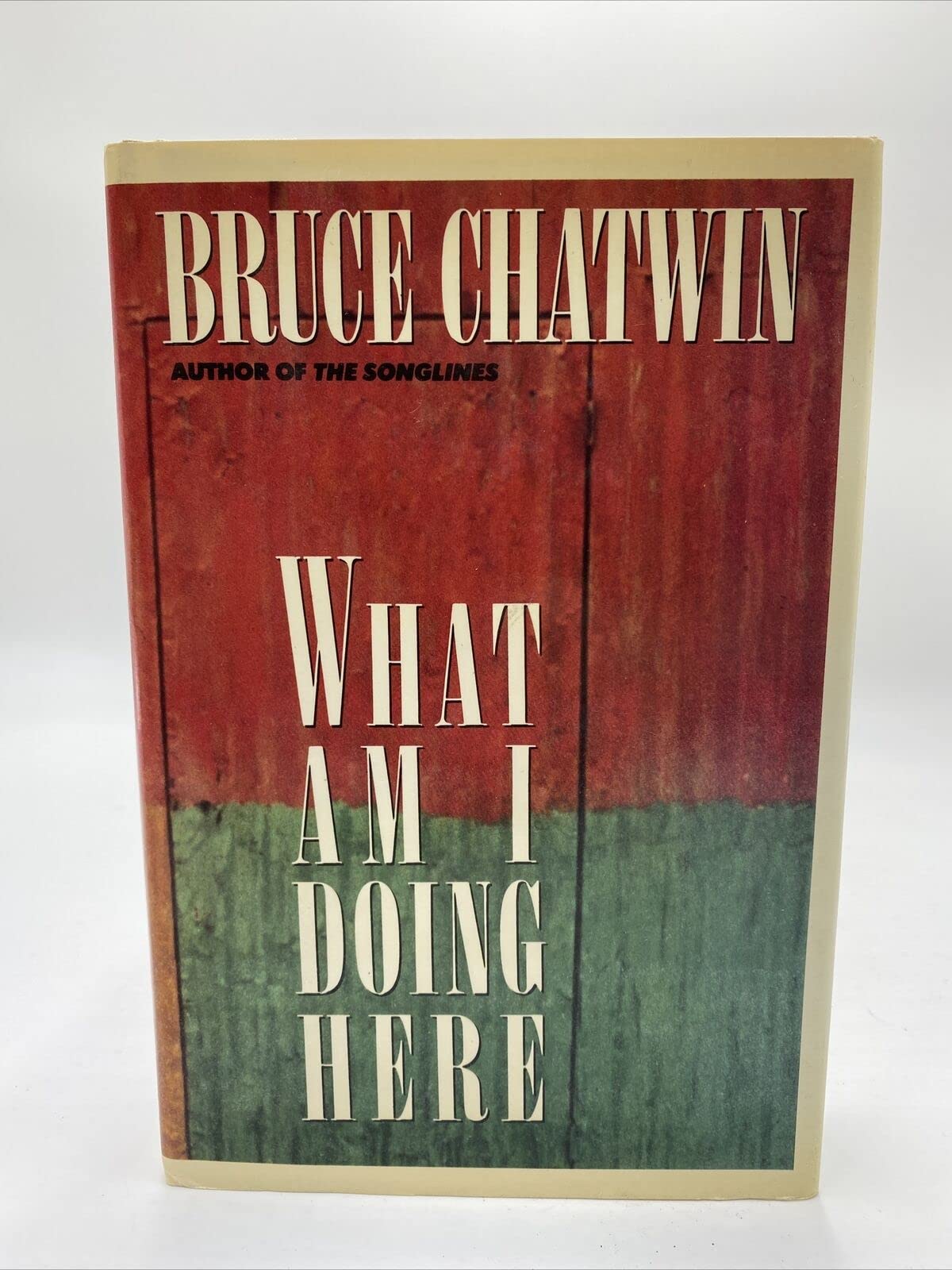 What Am I Doing Here? (American) book cover