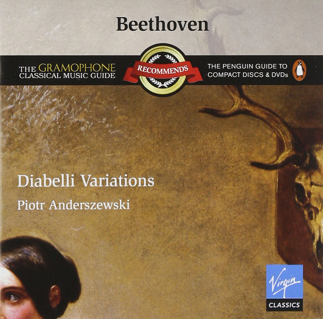 Diabelli Variations book cover