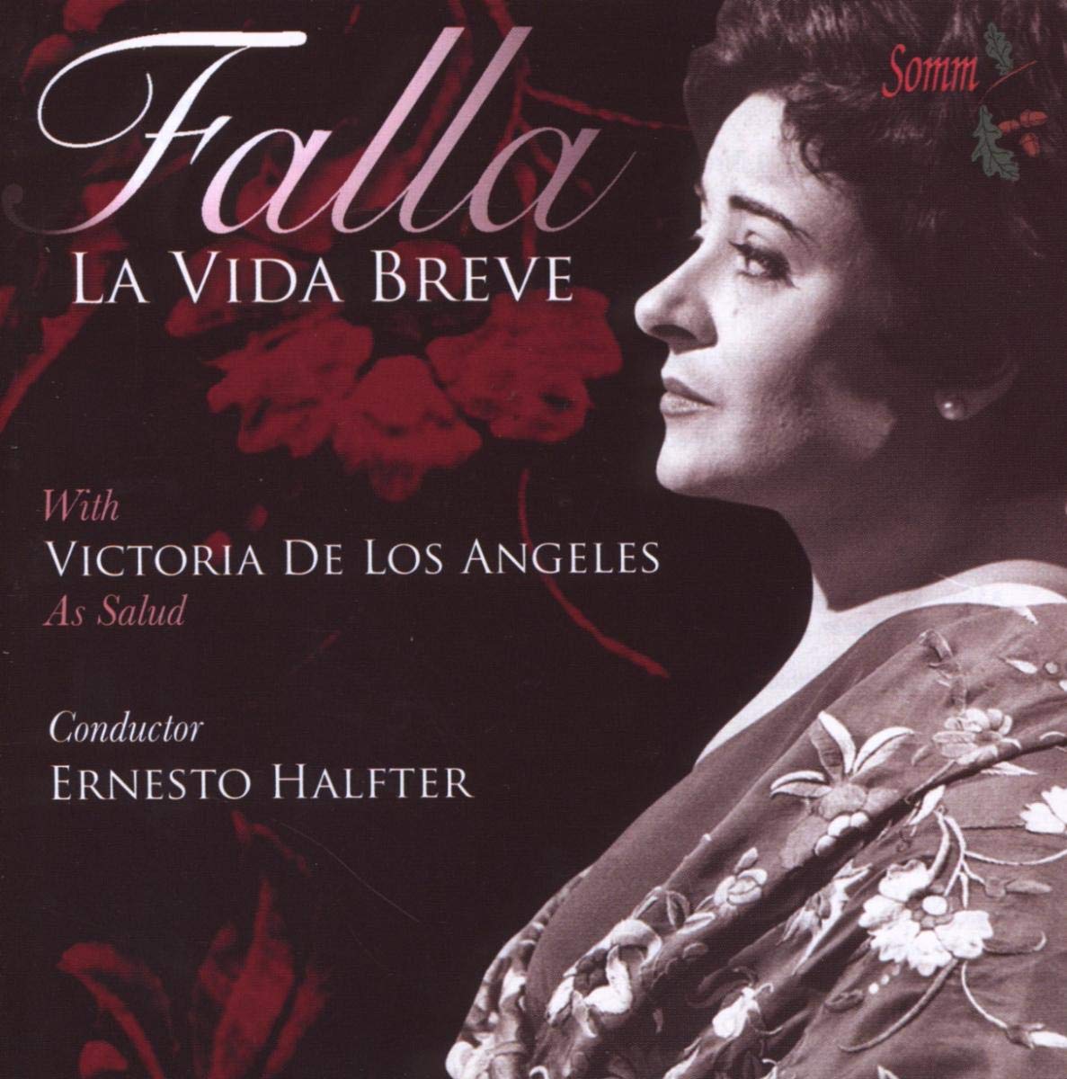 Vida Breve book cover