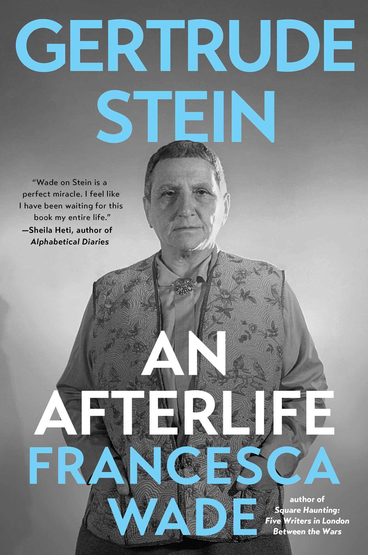 Gertrude Stein: An Afterlife book cover