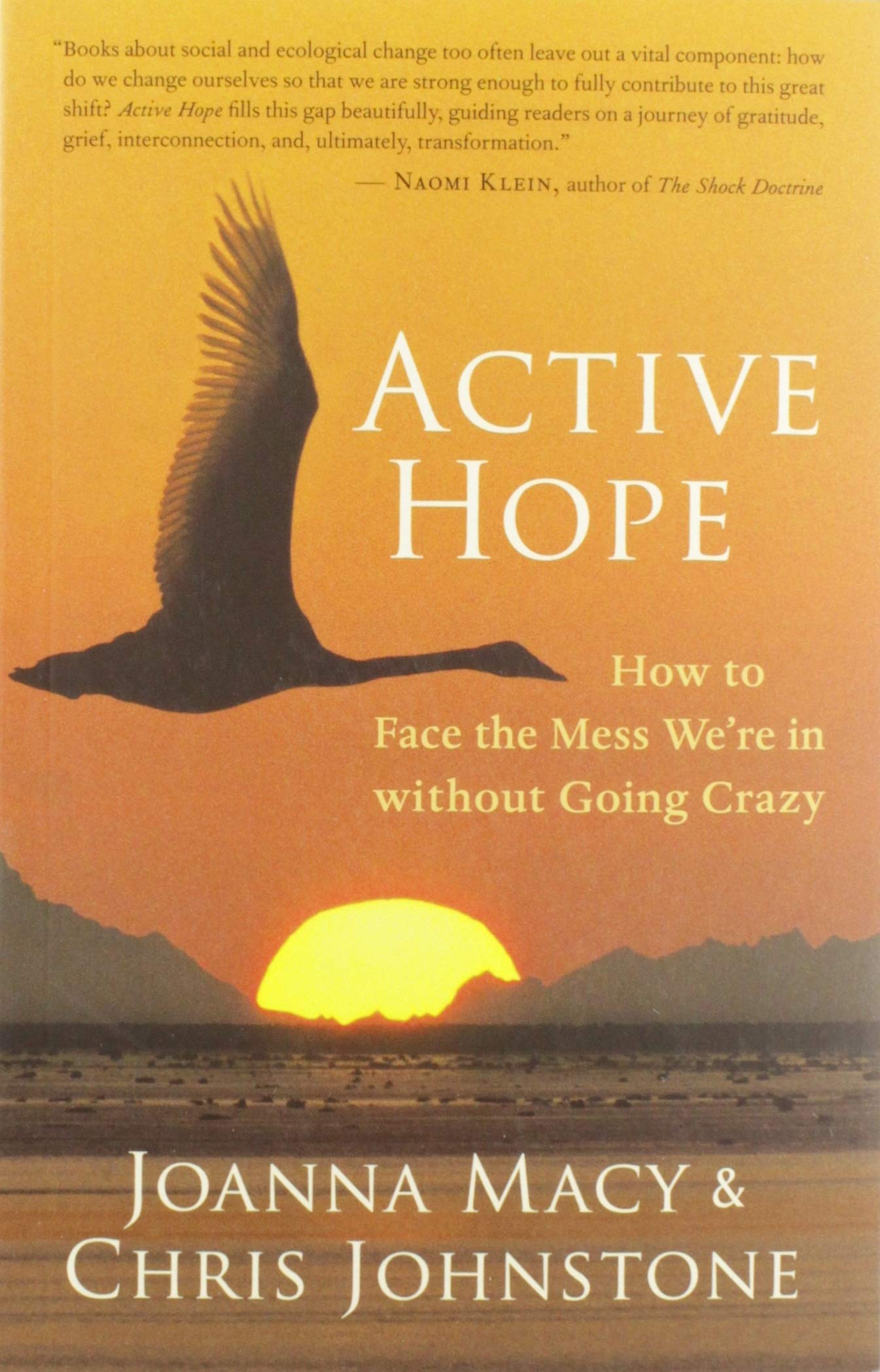 Active Hope: How to Face the Mess We're in Without Going Crazy book cover