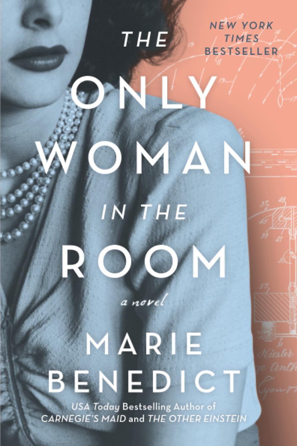 Only Woman in the Room book cover