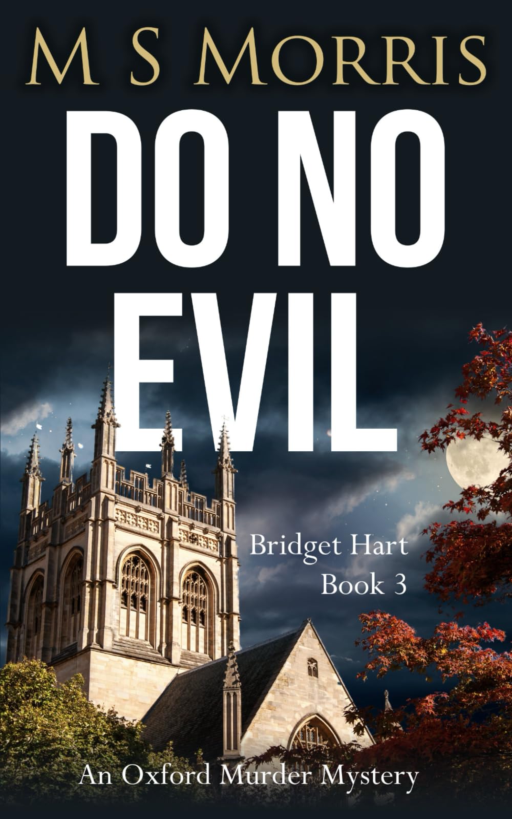 Do No Evil: An Oxford Murder Mystery book cover