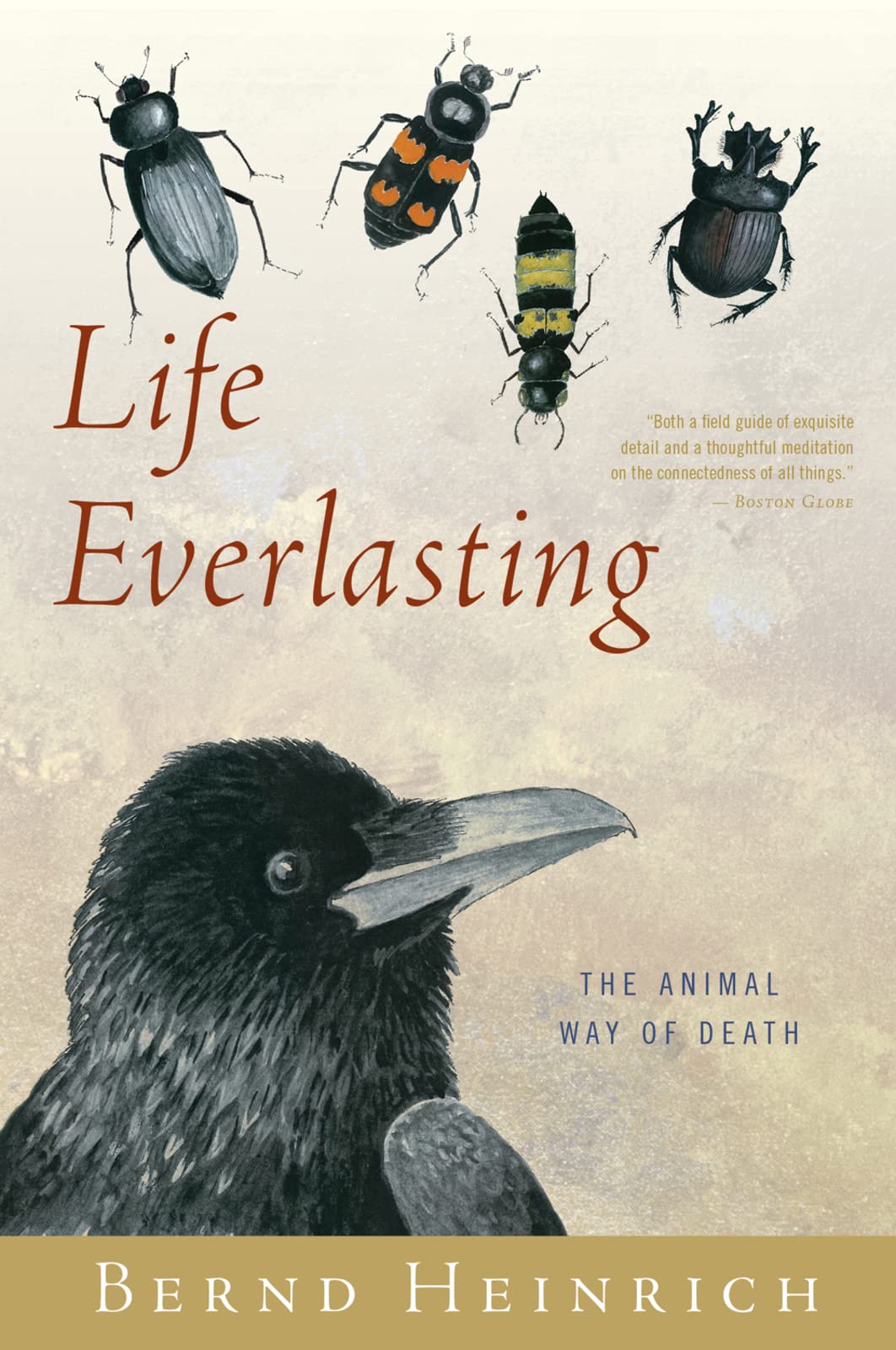 Life Everlasting: The Animal Way of Death book cover
