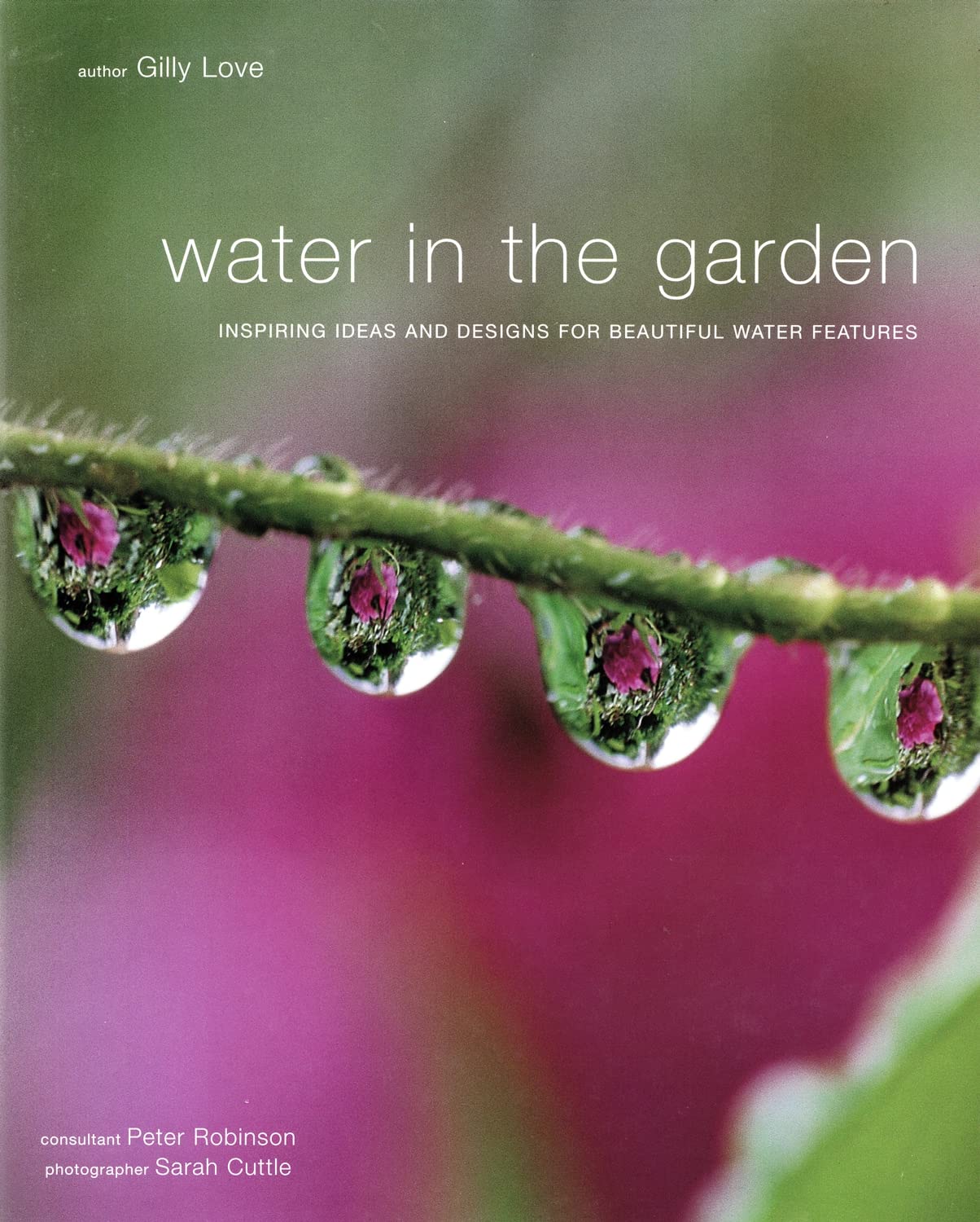 Water in the Garden: Inspiring Ideas and Designs for Beautiful Water Features book cover
