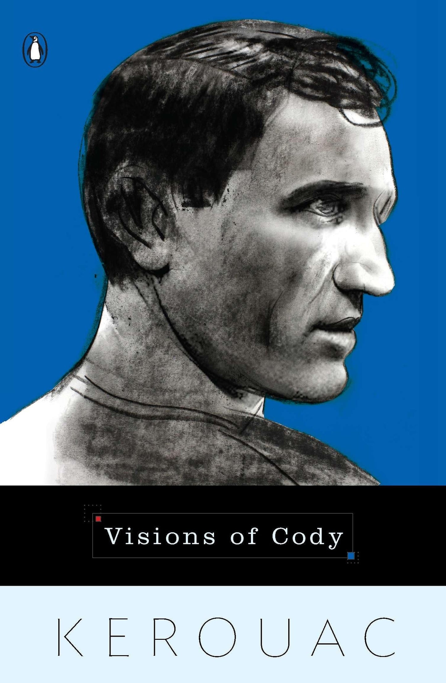 Visions of Cody book cover