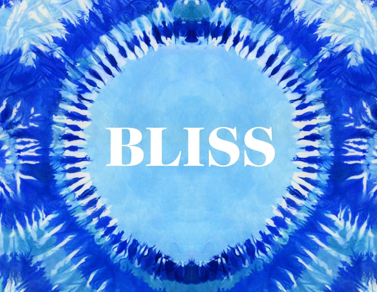 Bliss: Transformational Festivals & the Neo Hippie book cover