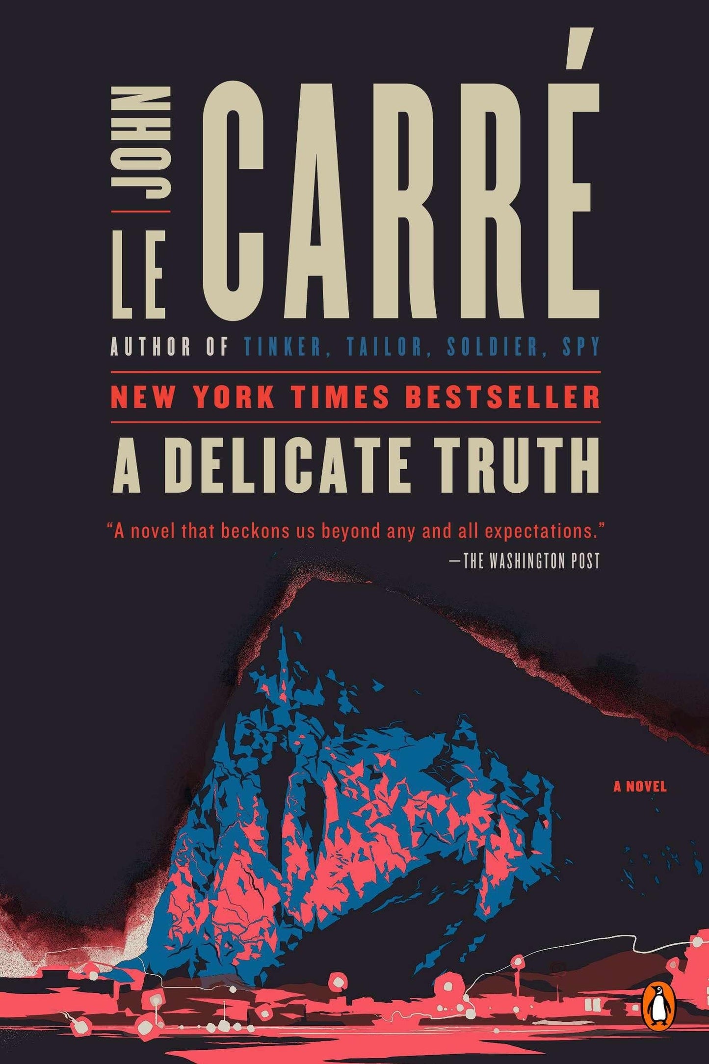 Delicate Truth book cover