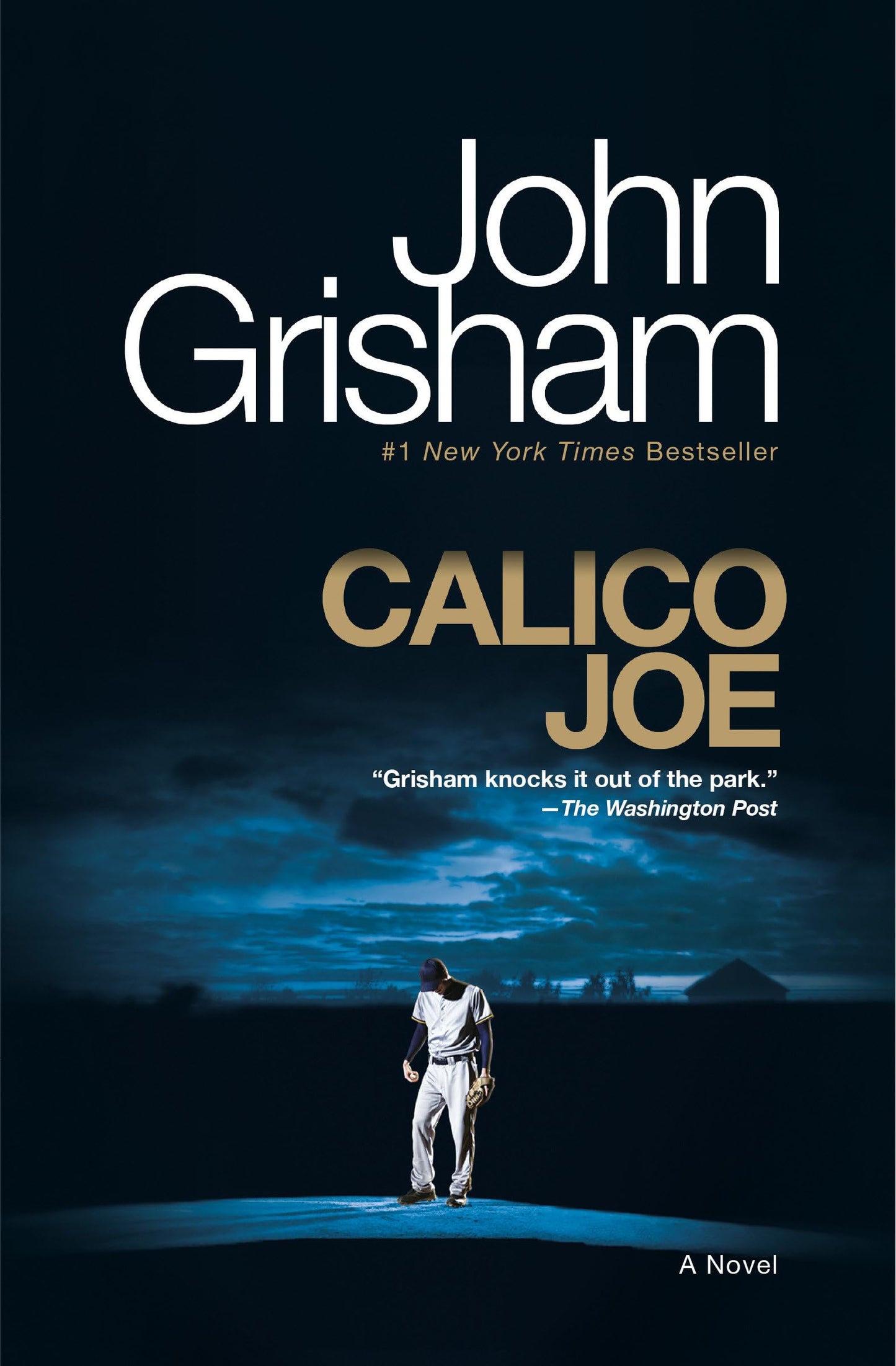 Calico Joe book cover