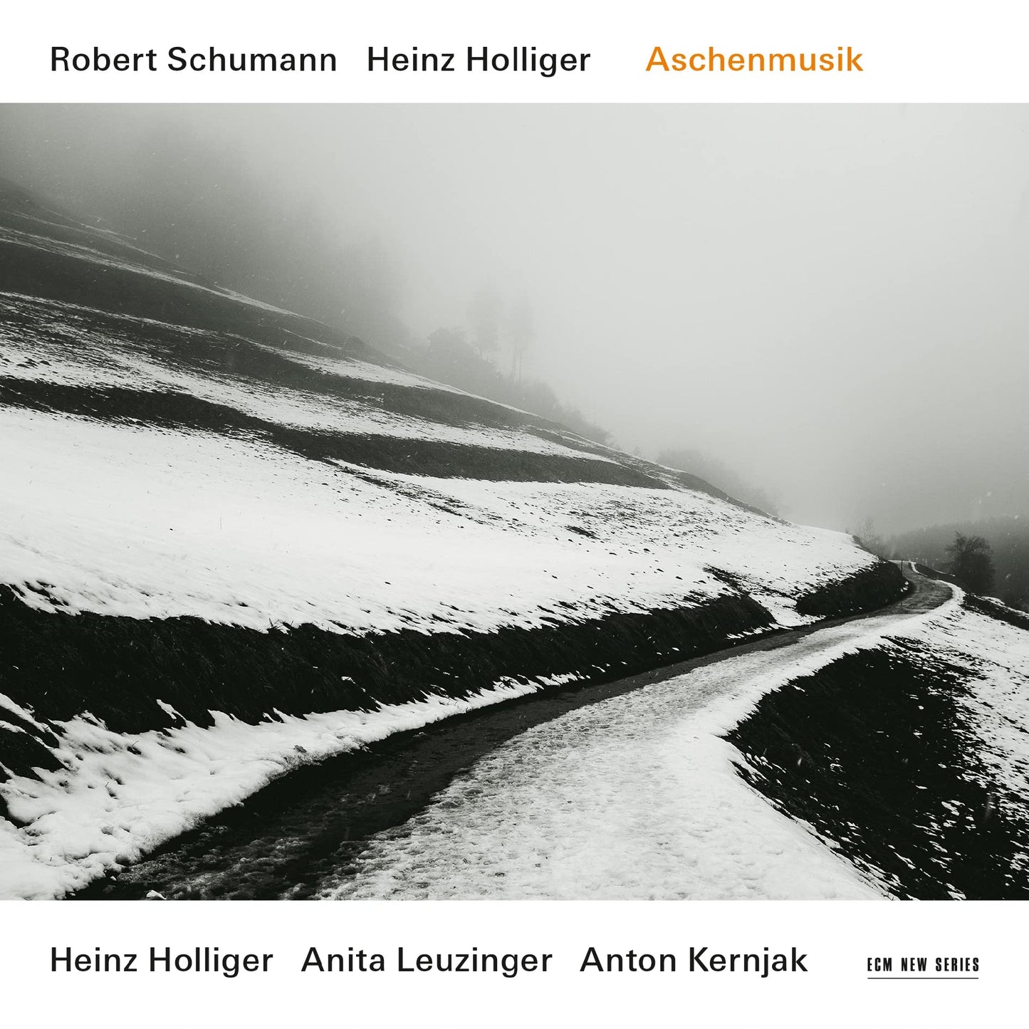 Aschenmusik book cover