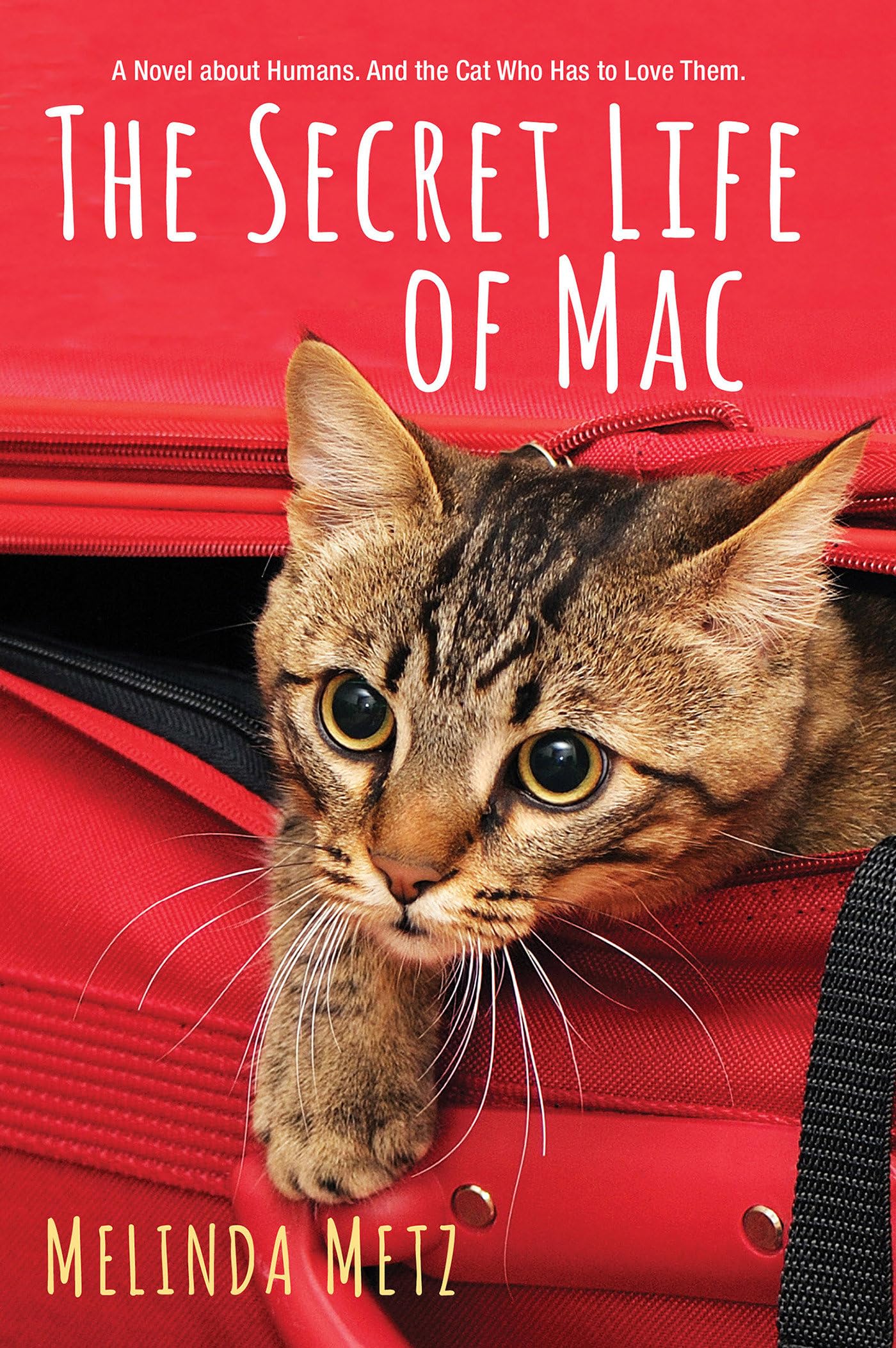 Secret Life of Mac book cover