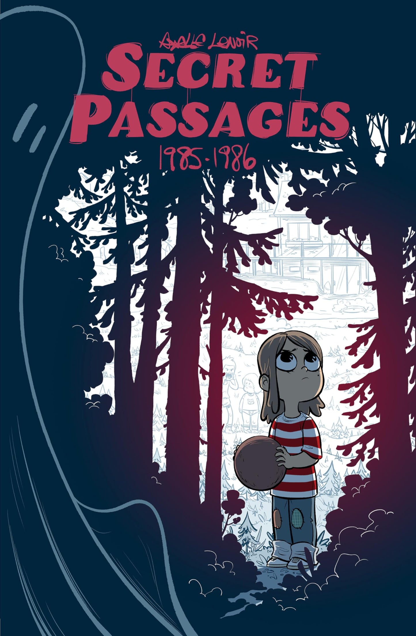 Secret Passages book cover