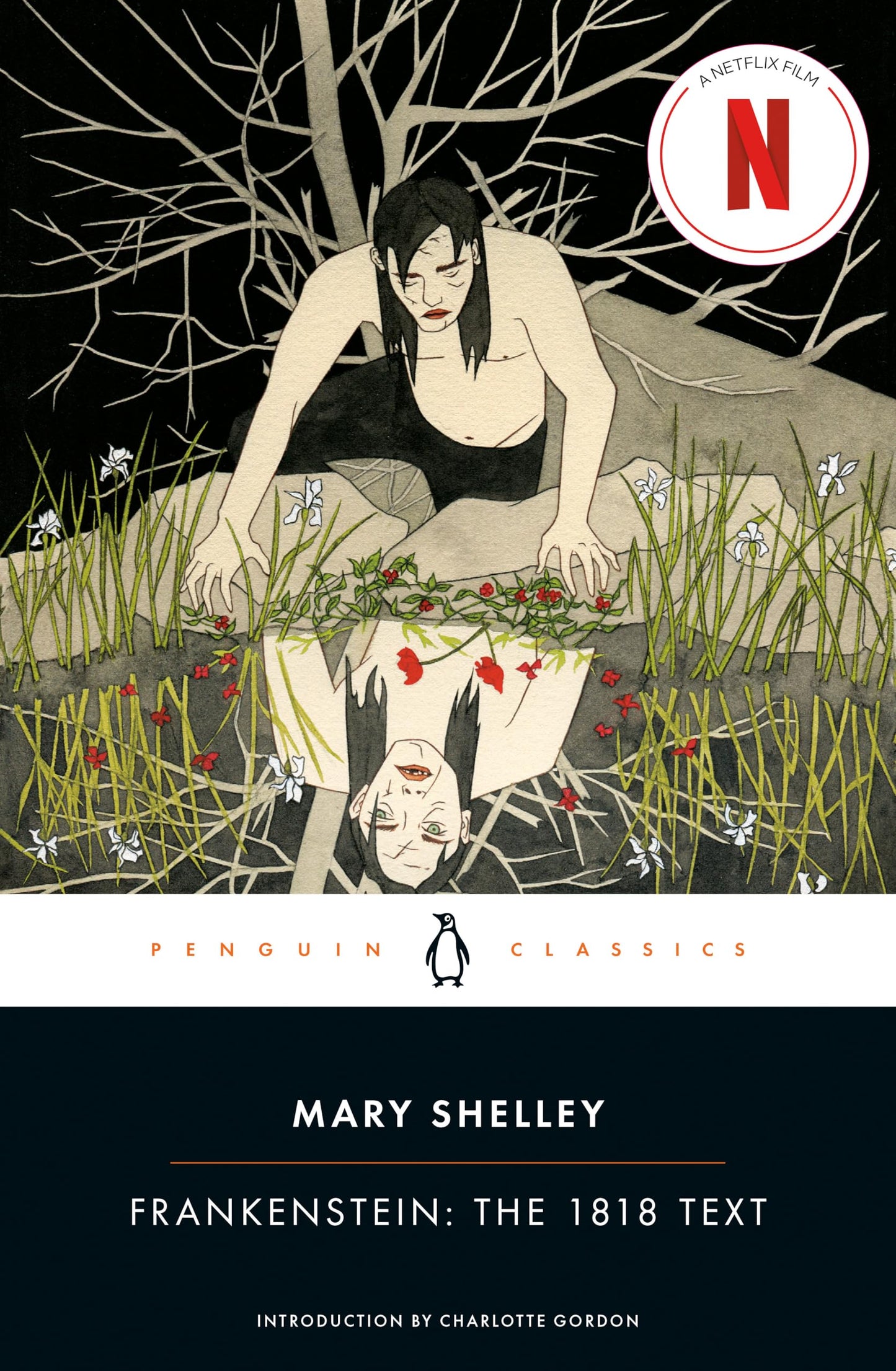 Frankenstein: The 1818 Text book cover