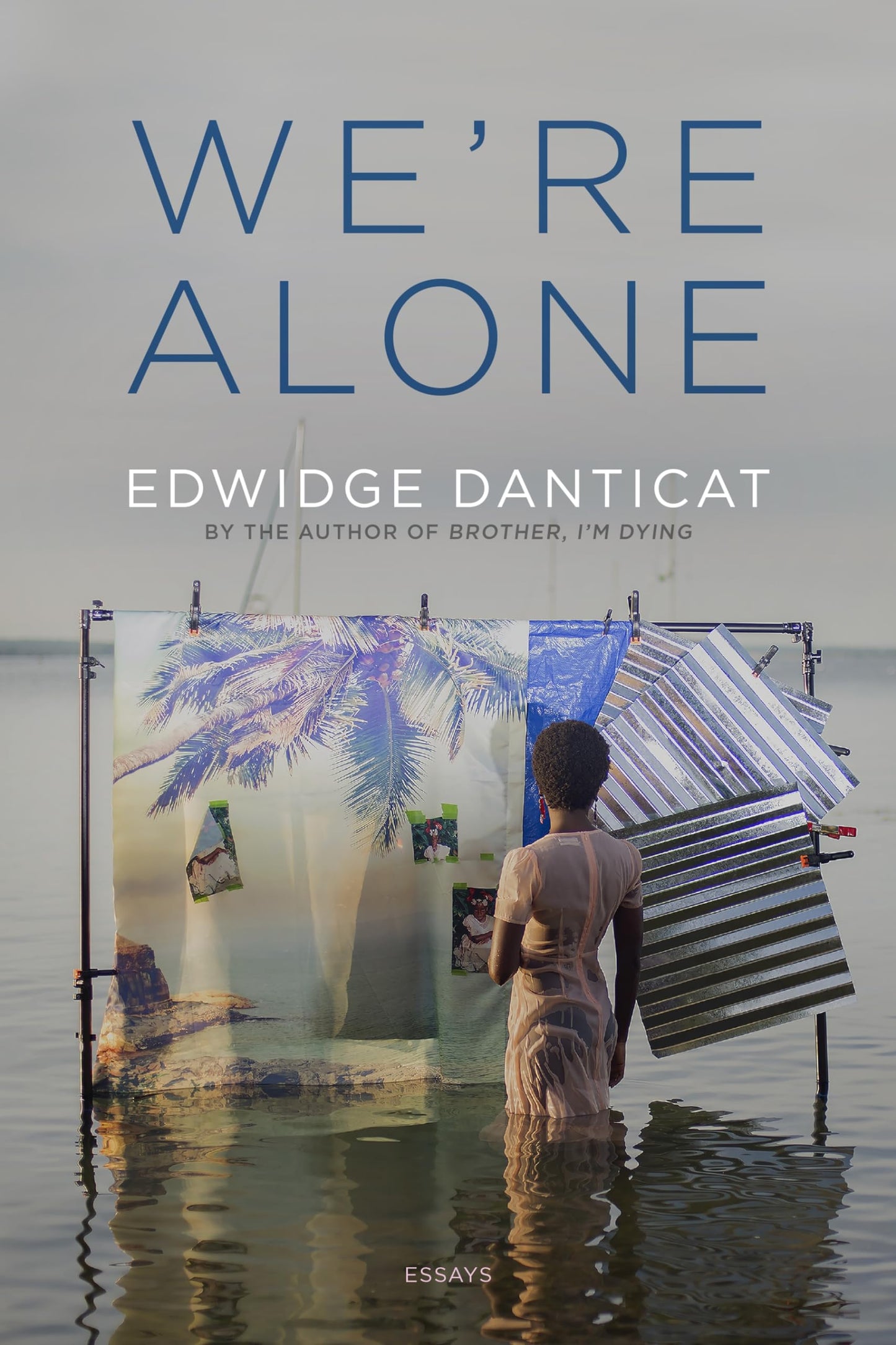 We're Alone: Essays book cover