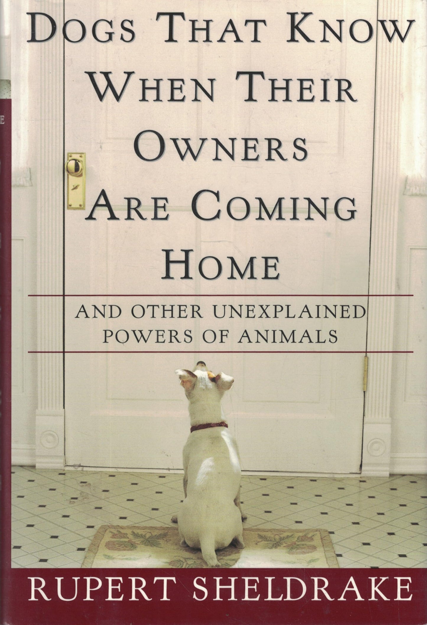 Dogs That Know When Their Owners Are Coming Home: And Other Unexplained Powers of Animals book cover