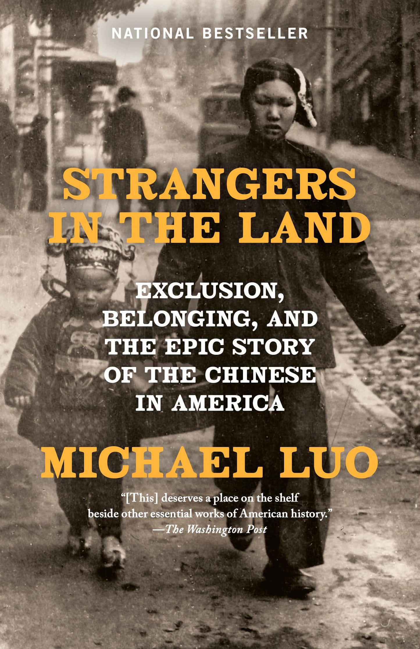 Strangers in the Land book cover