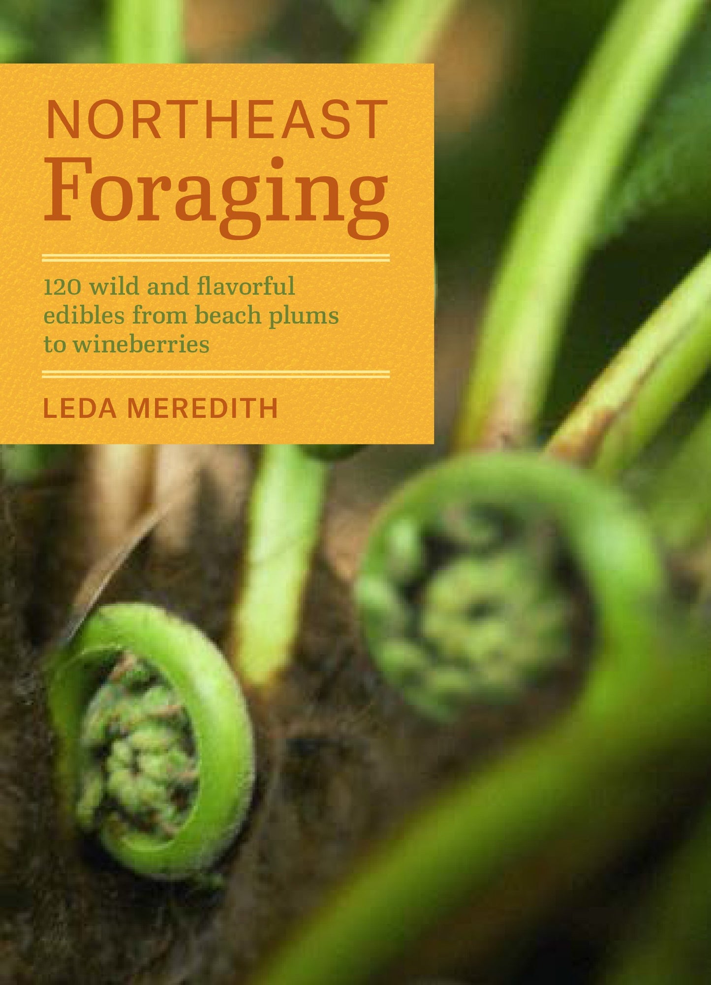 Northeast Foraging: 120 Wild and Flavorful Edibles from Beach Plums to Wineberries book cover