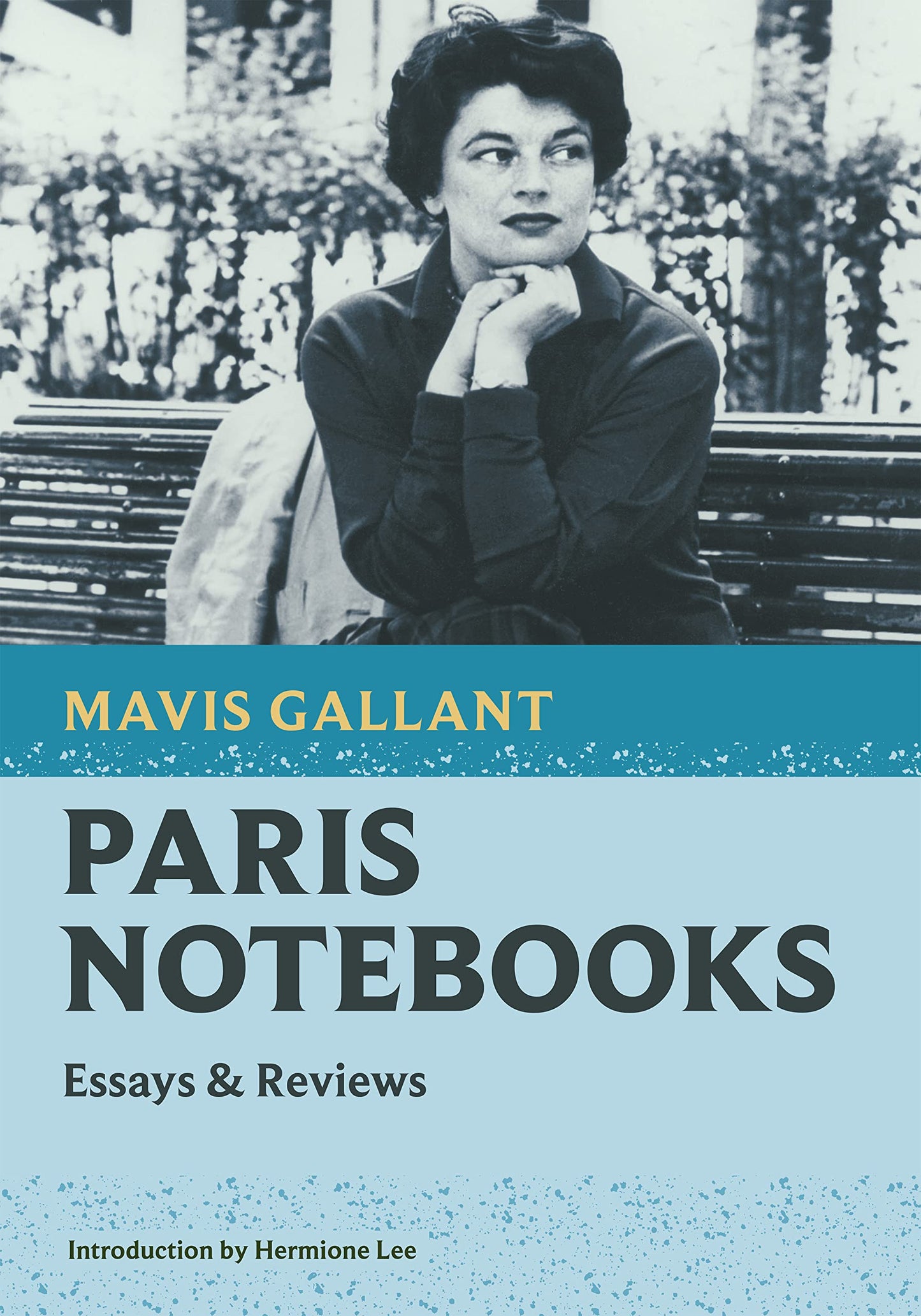 Paris Notebooks: Essays & Reviews book cover