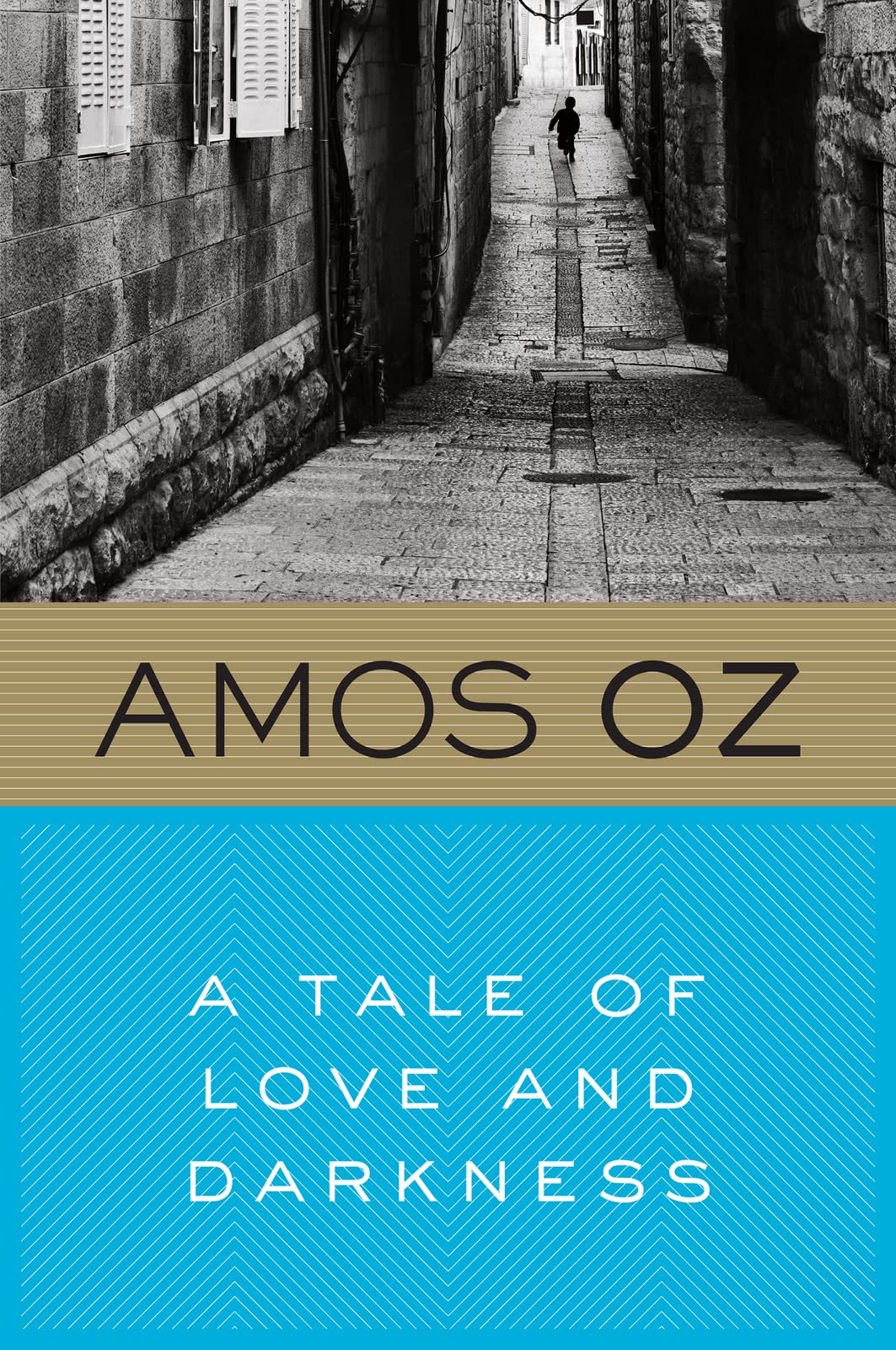 Tale of Love and Darkness book cover
