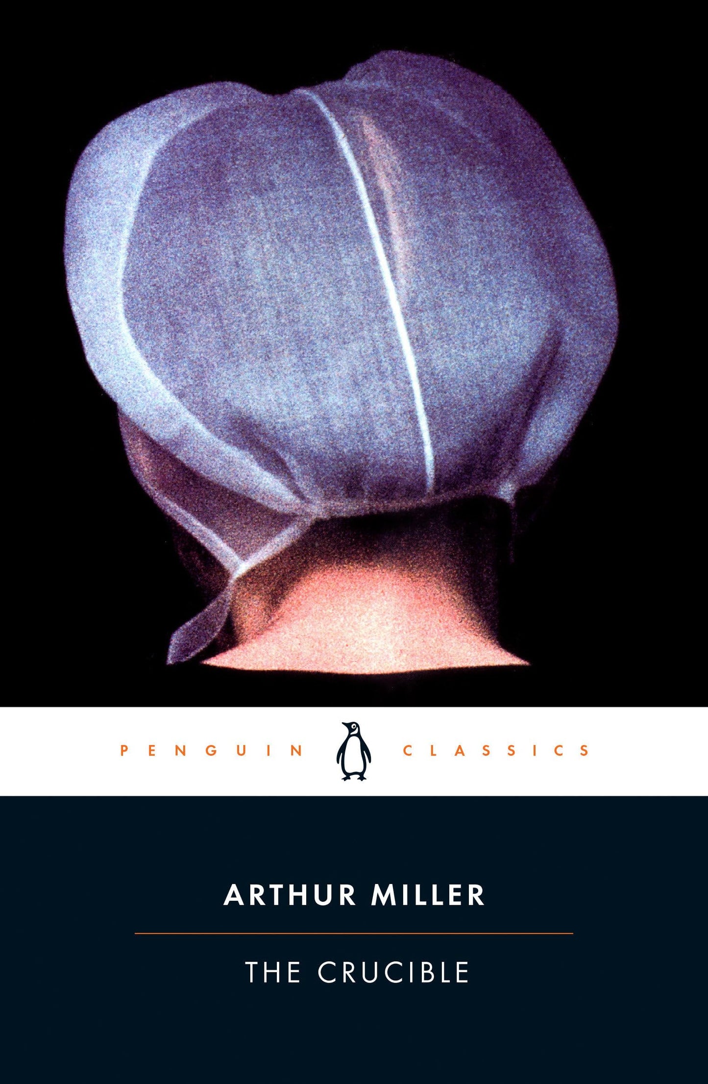 Crucible book cover