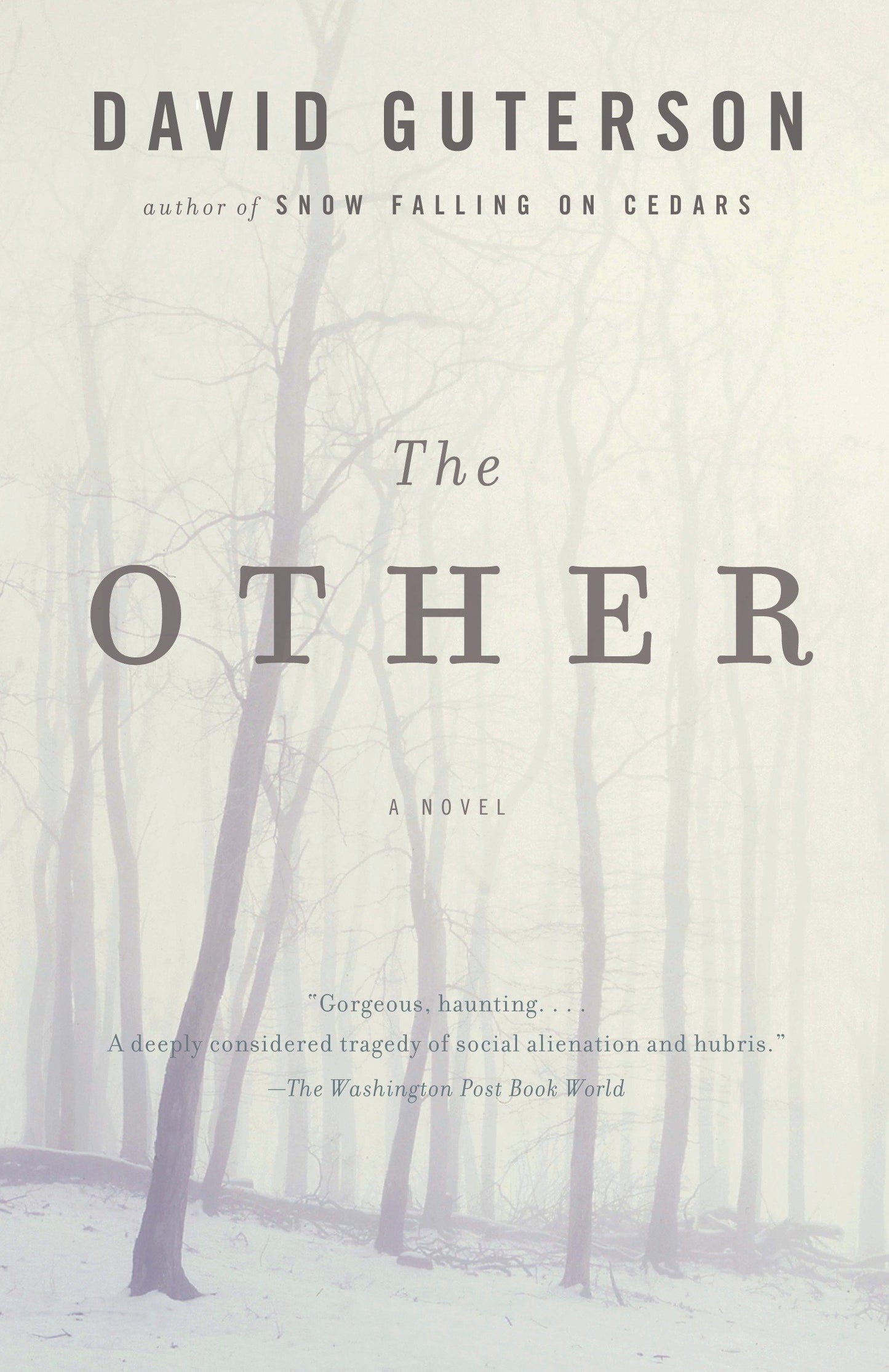 Other book cover