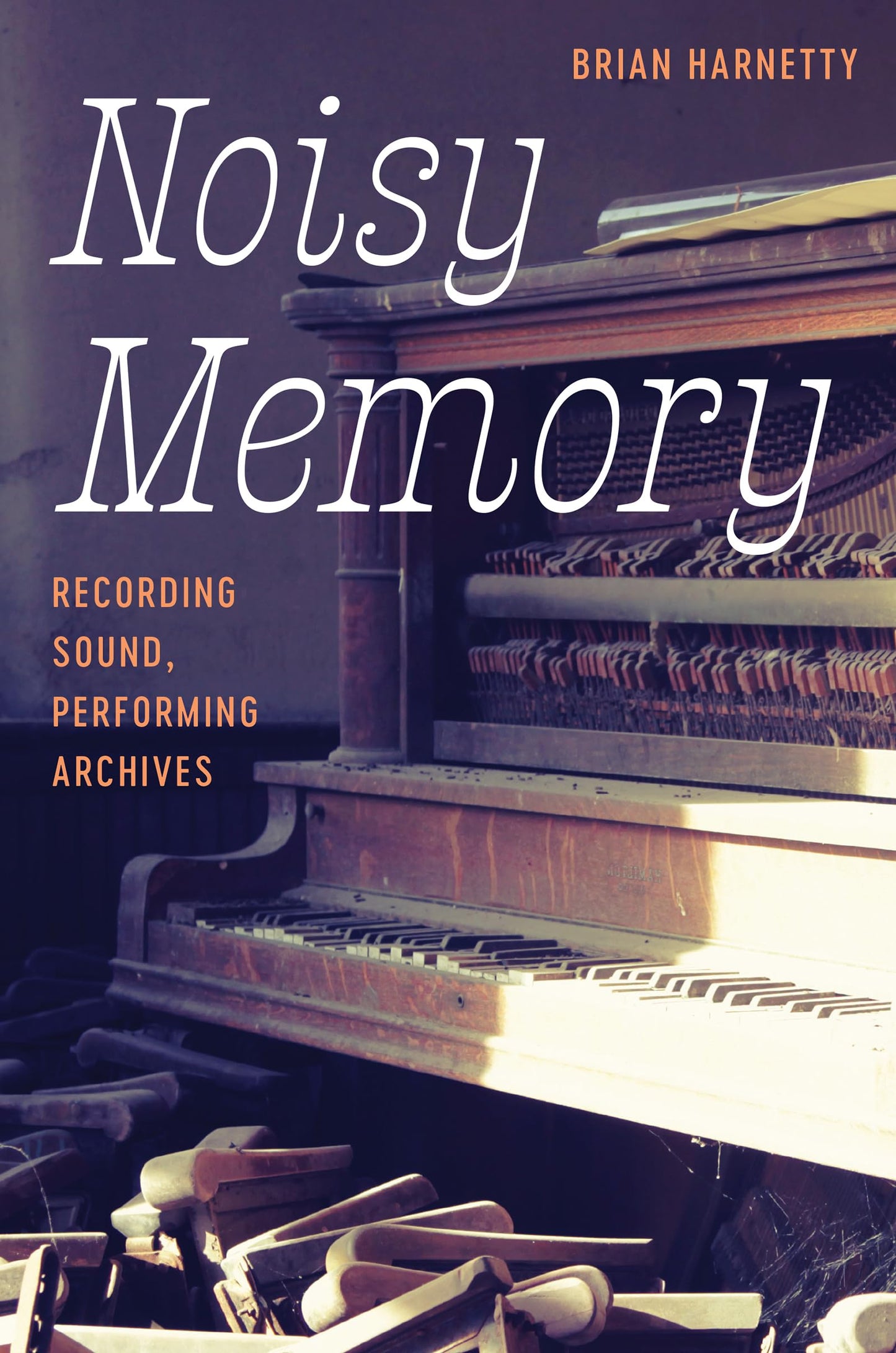 Noisy Memory book cover