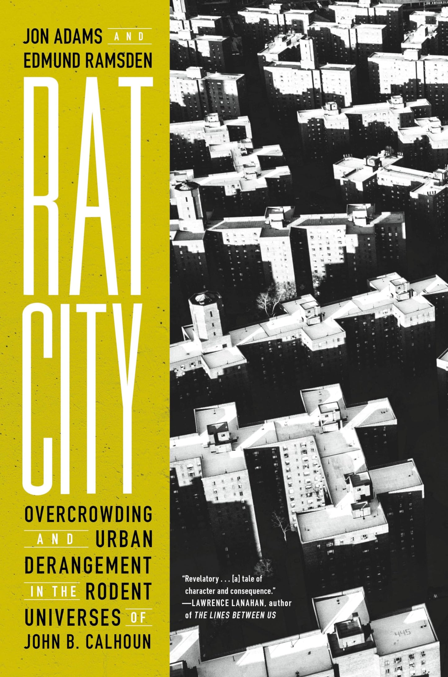 Rat City book cover