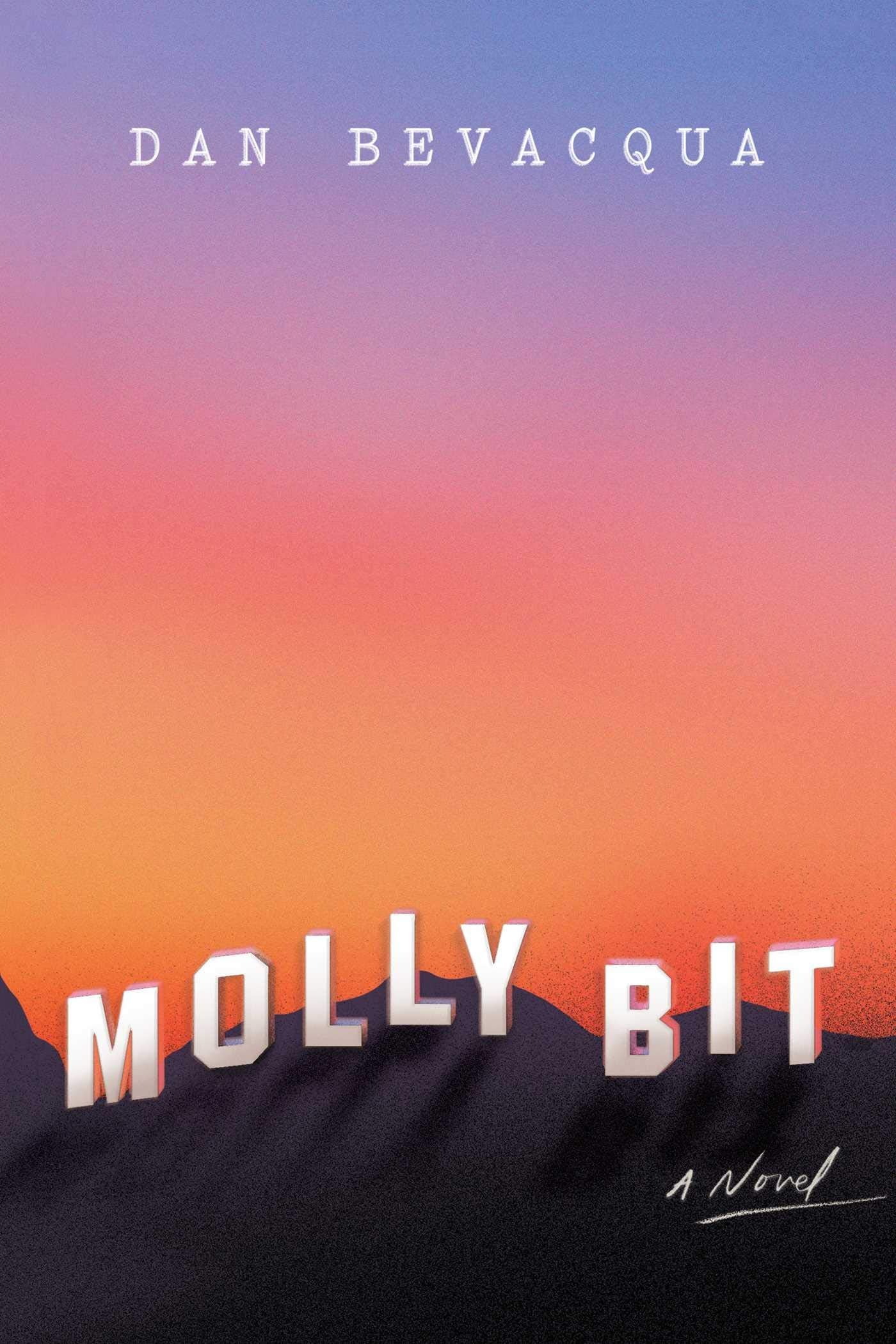 Molly Bit book cover