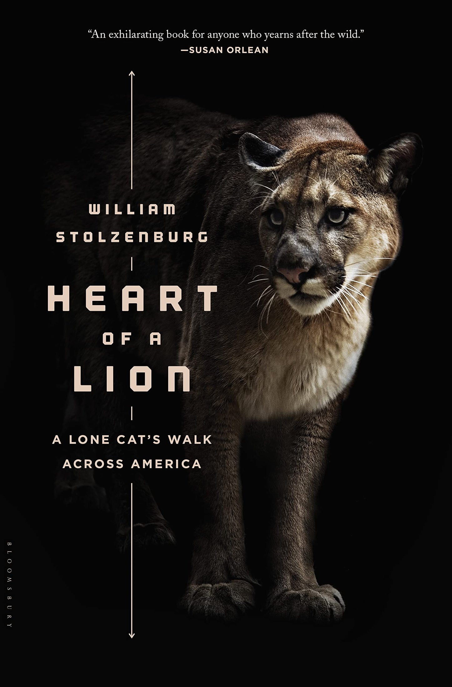 Heart of a Lion: A Lone Cat's Walk Across America book cover