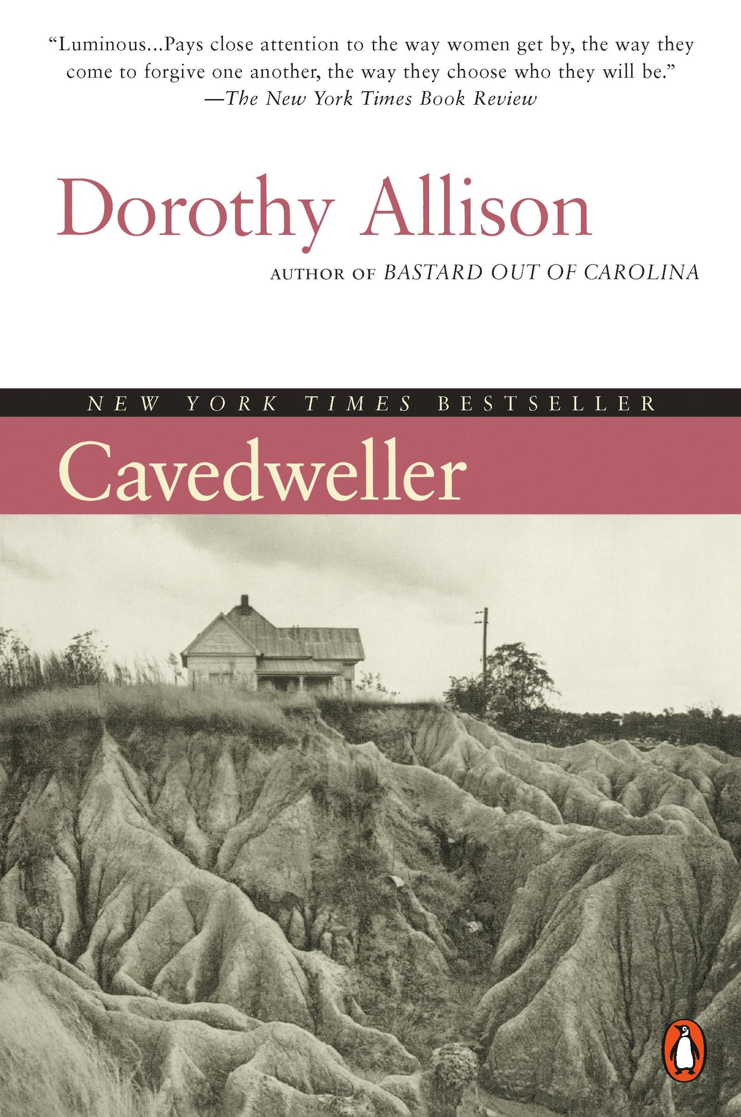 Cavedweller book cover