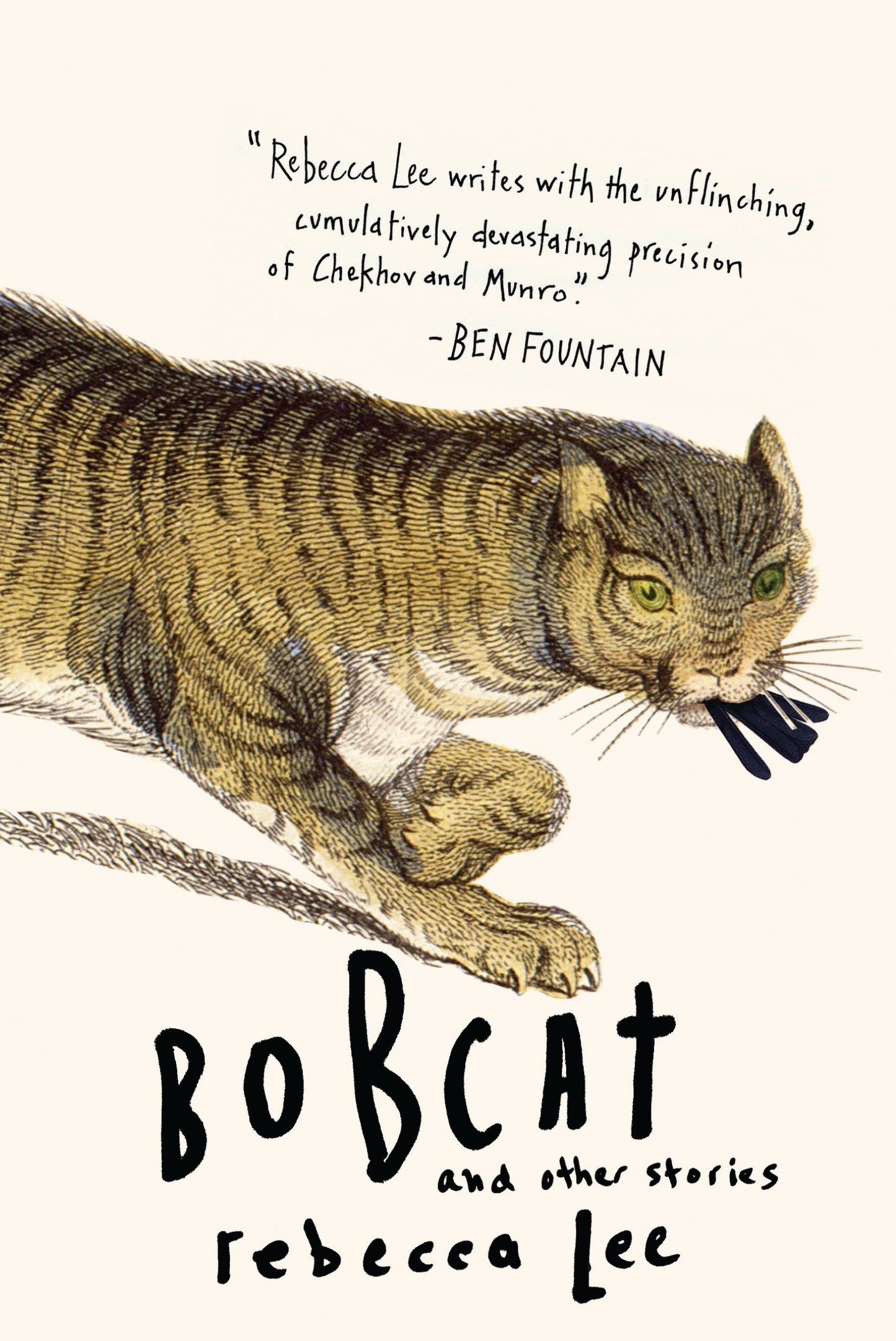 Bobcat & Other Stories book cover