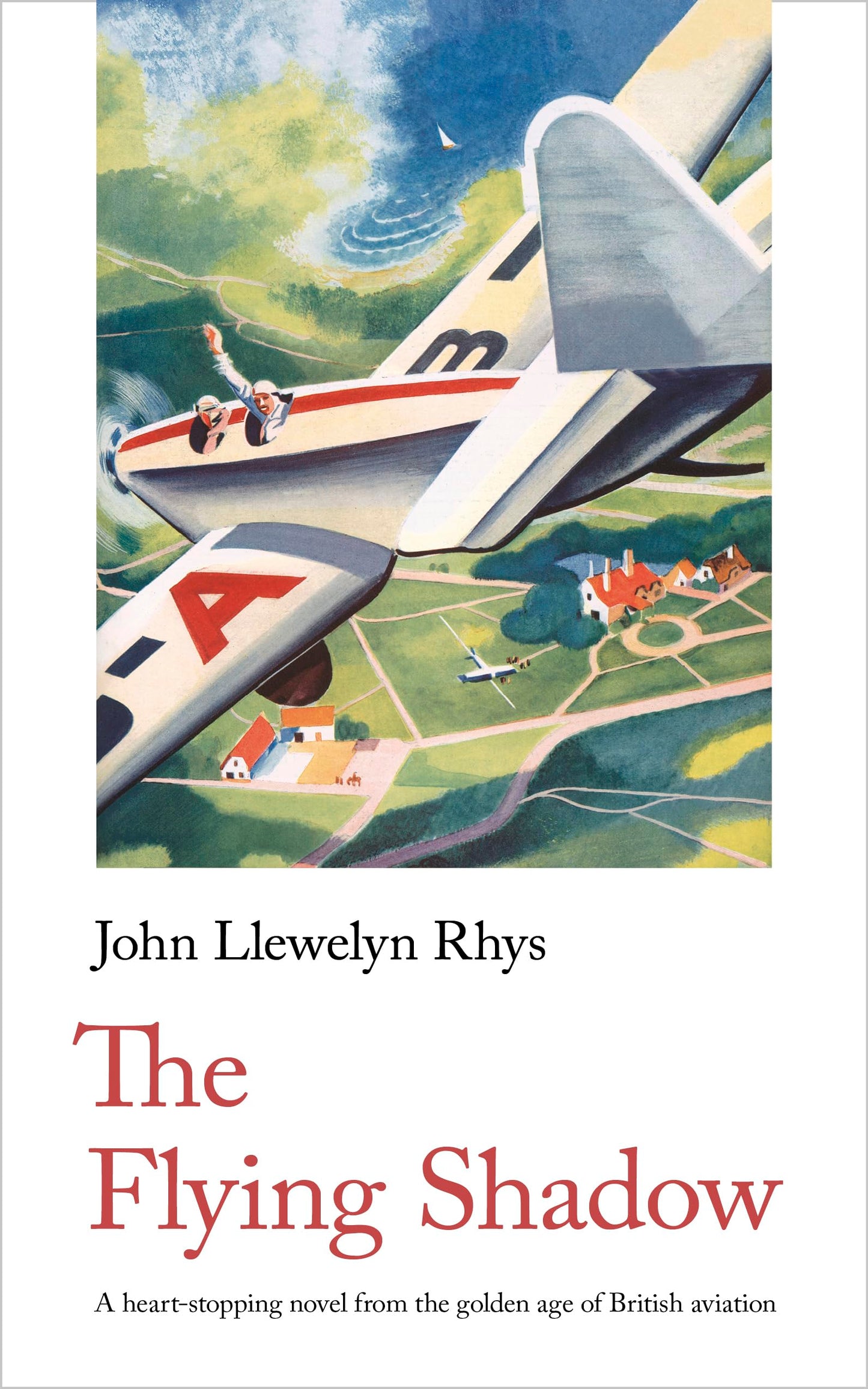 The Flying Shadow book cover