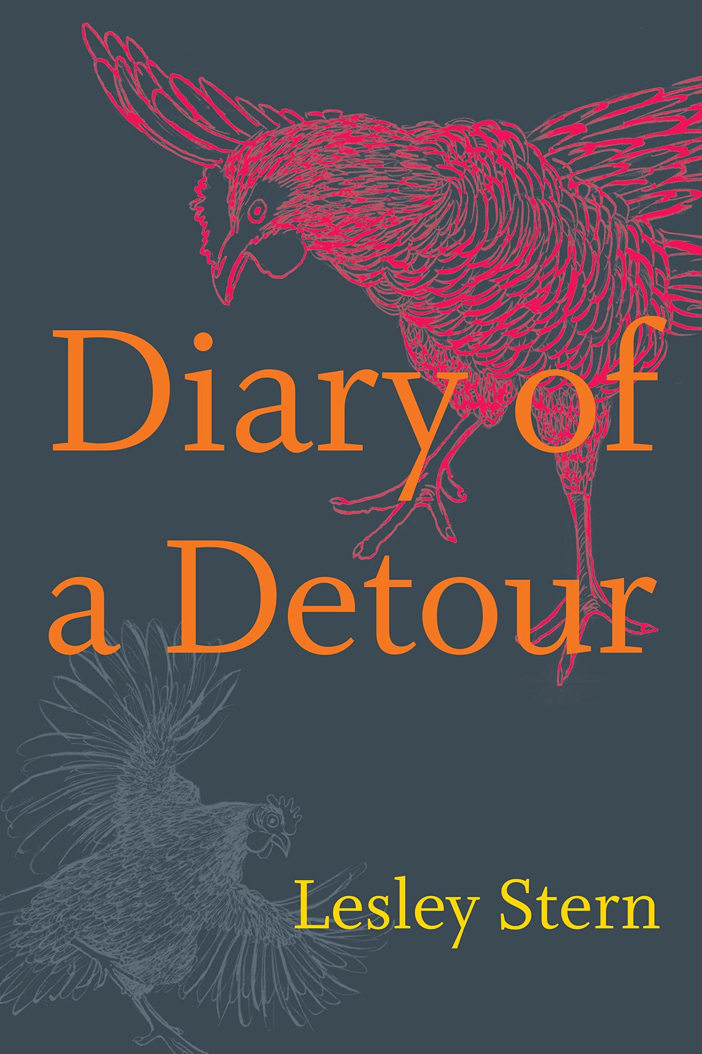 Diary of a Detour book cover