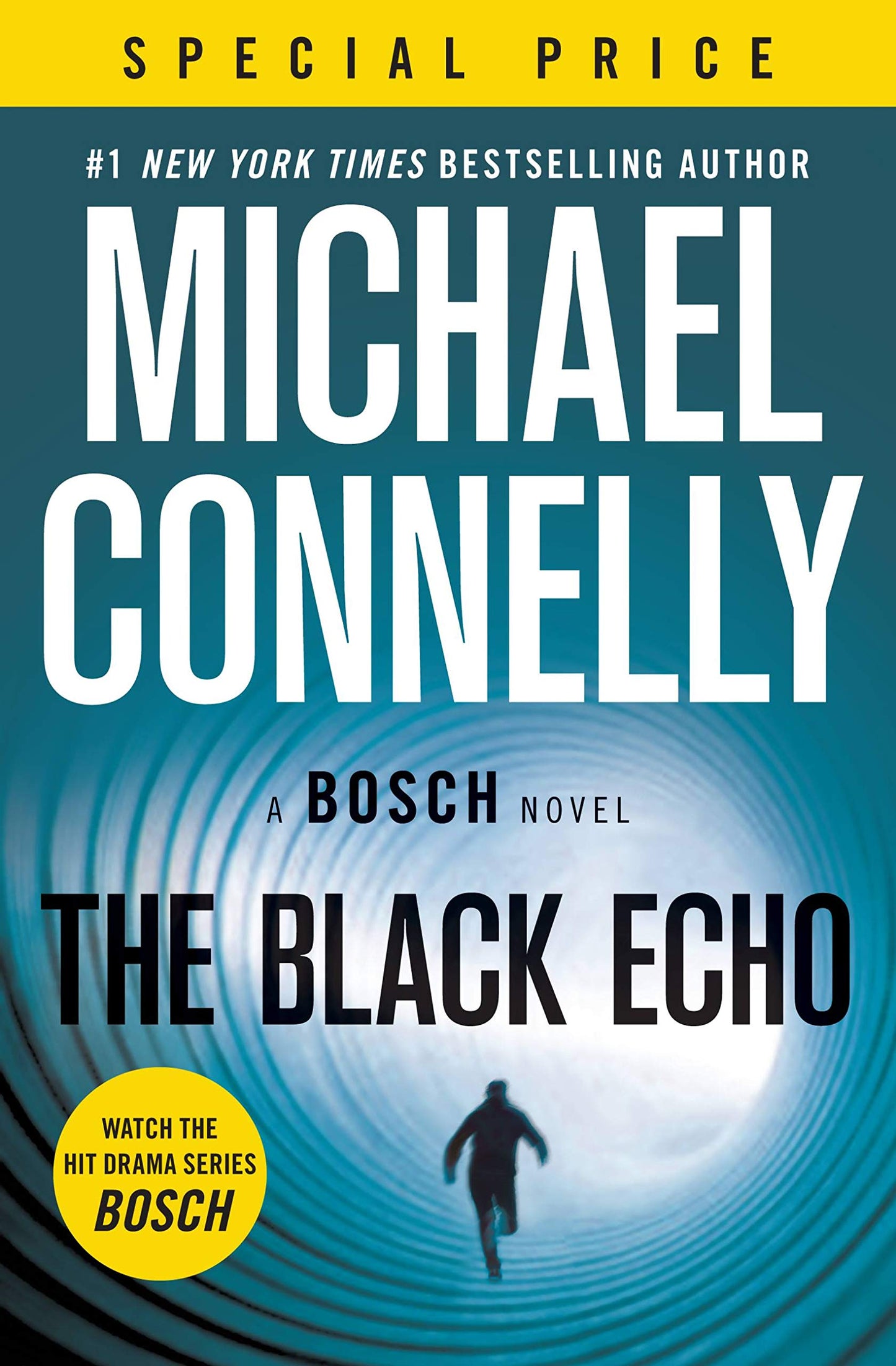 Black Echo book cover