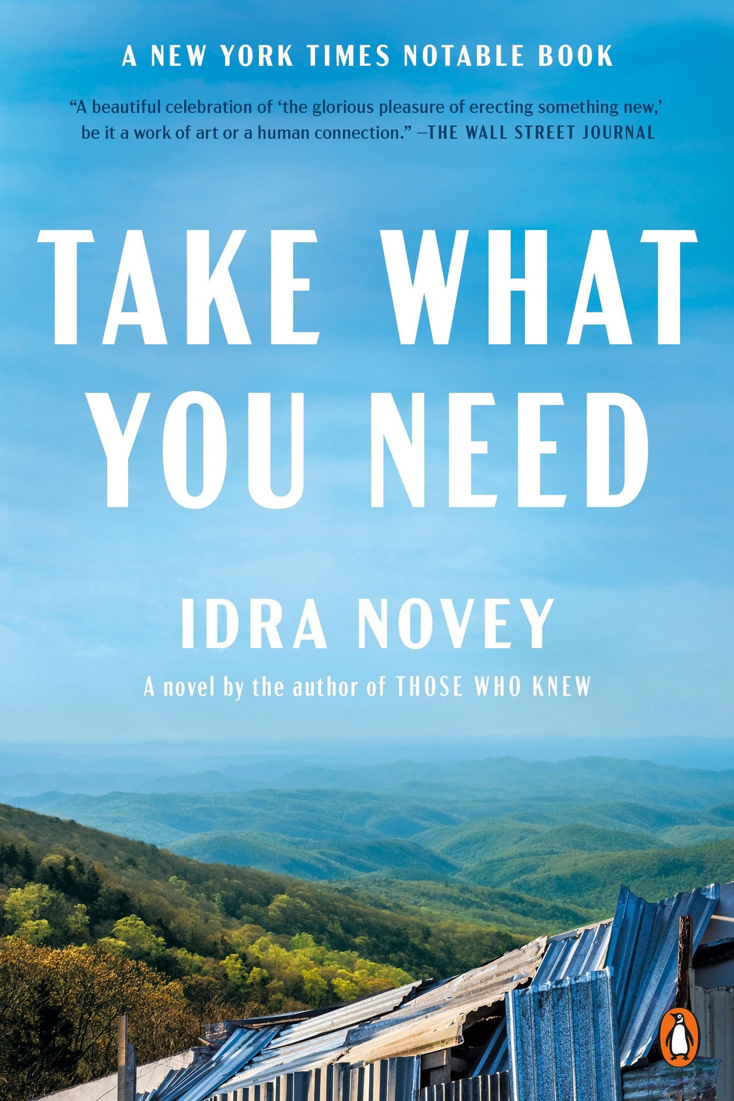 Take What You Need book cover
