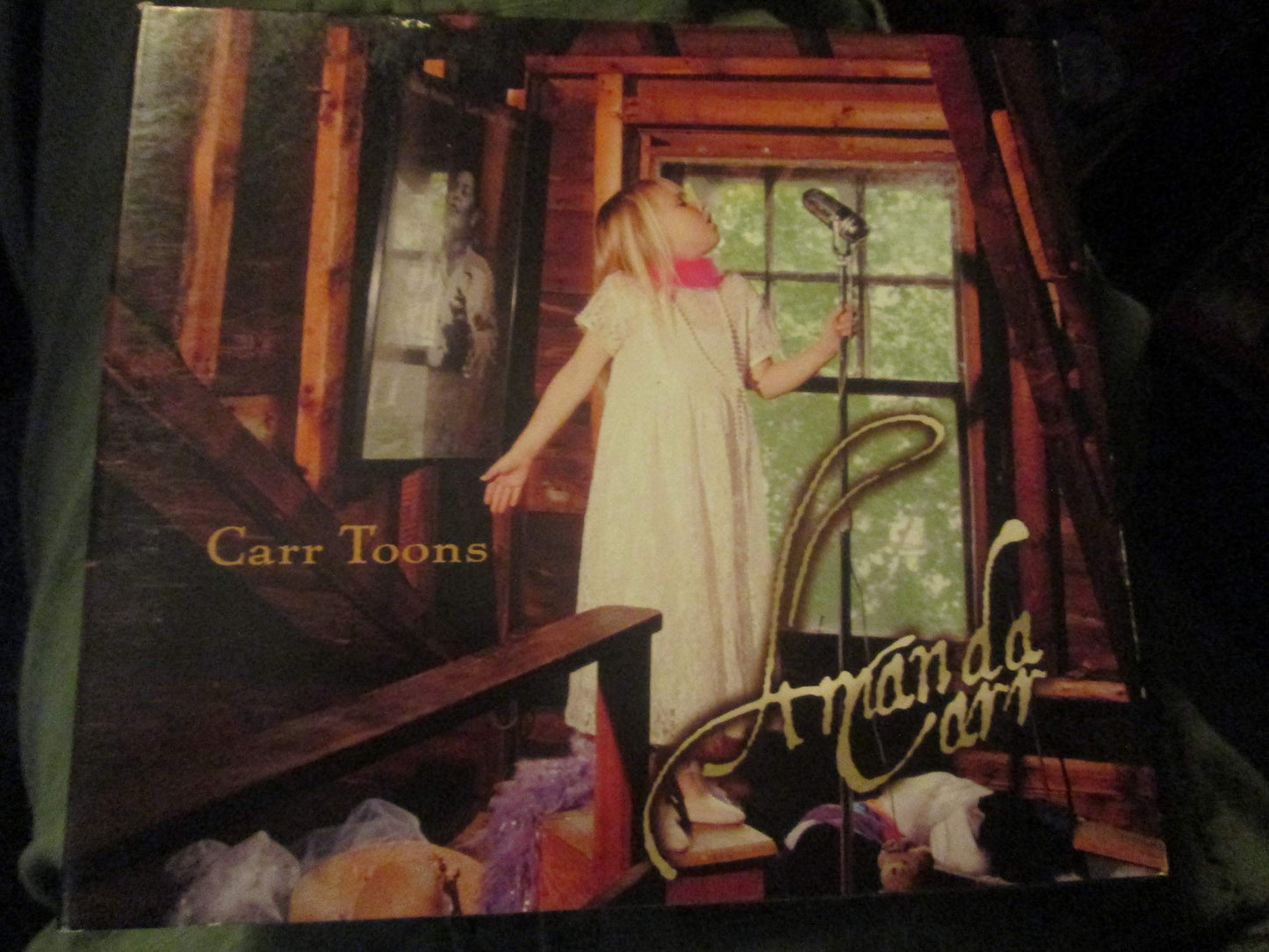 Carr Toons book cover