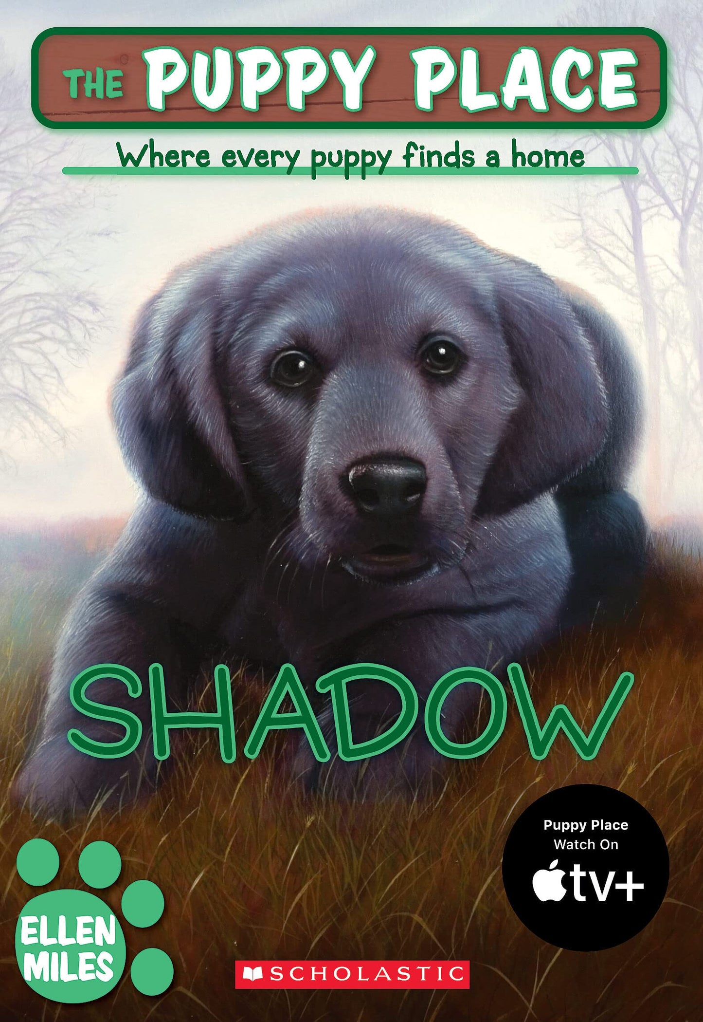 Puppy Place #3: Shadow, 3 book cover