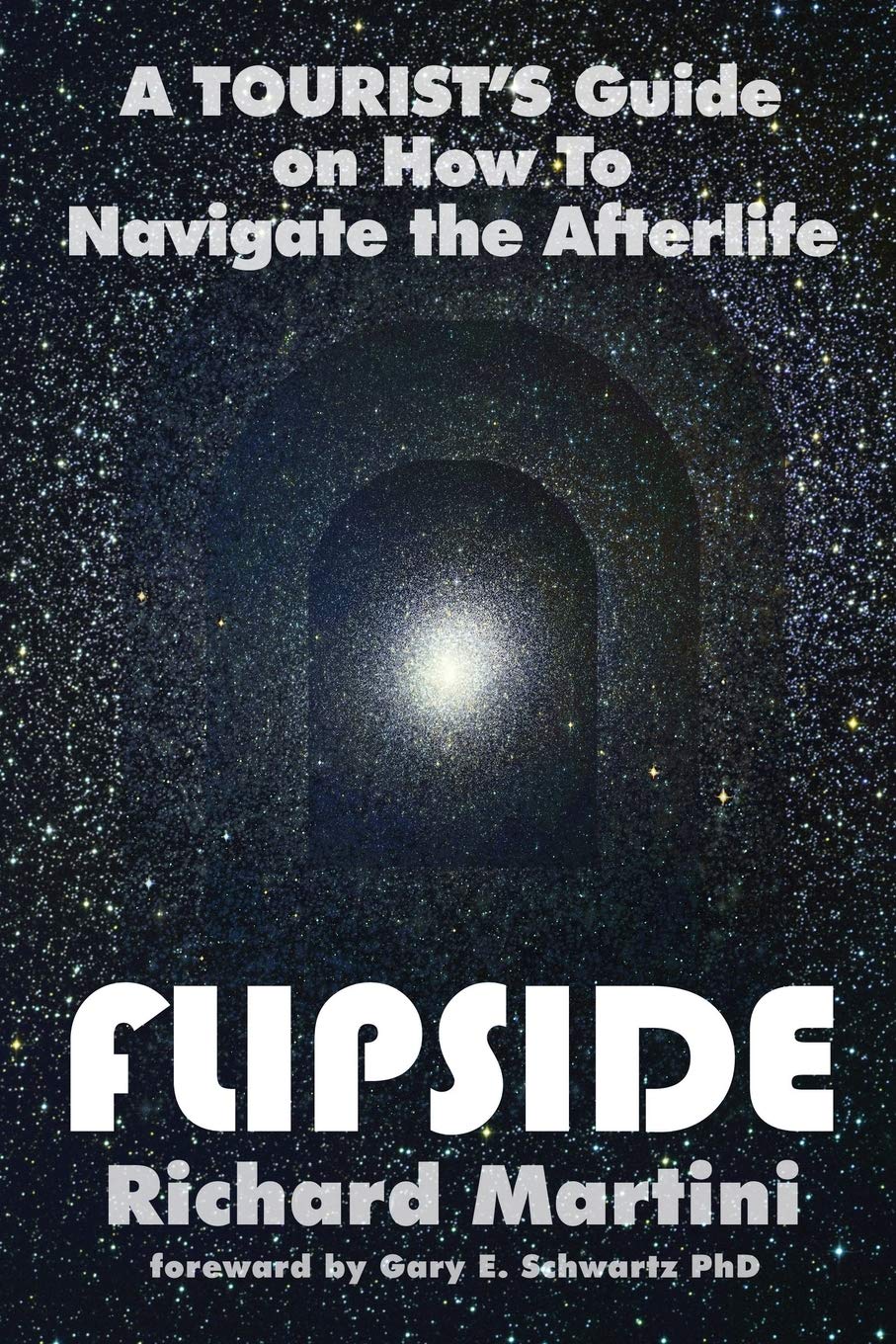 Flipside: A Tourist's Guide on How to Navigate the Afterlife book cover