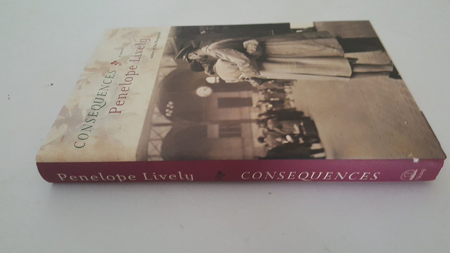 Consequences book cover
