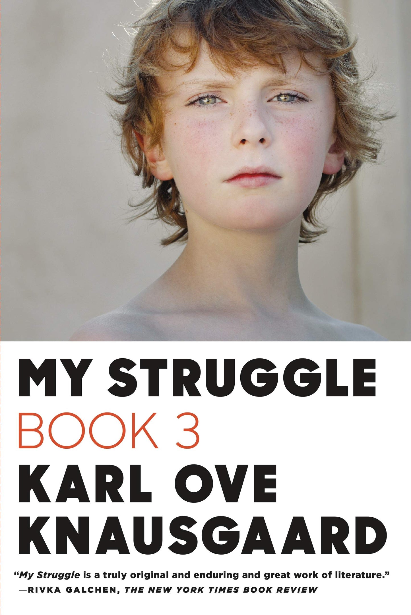 My Struggle: Book 3 book cover