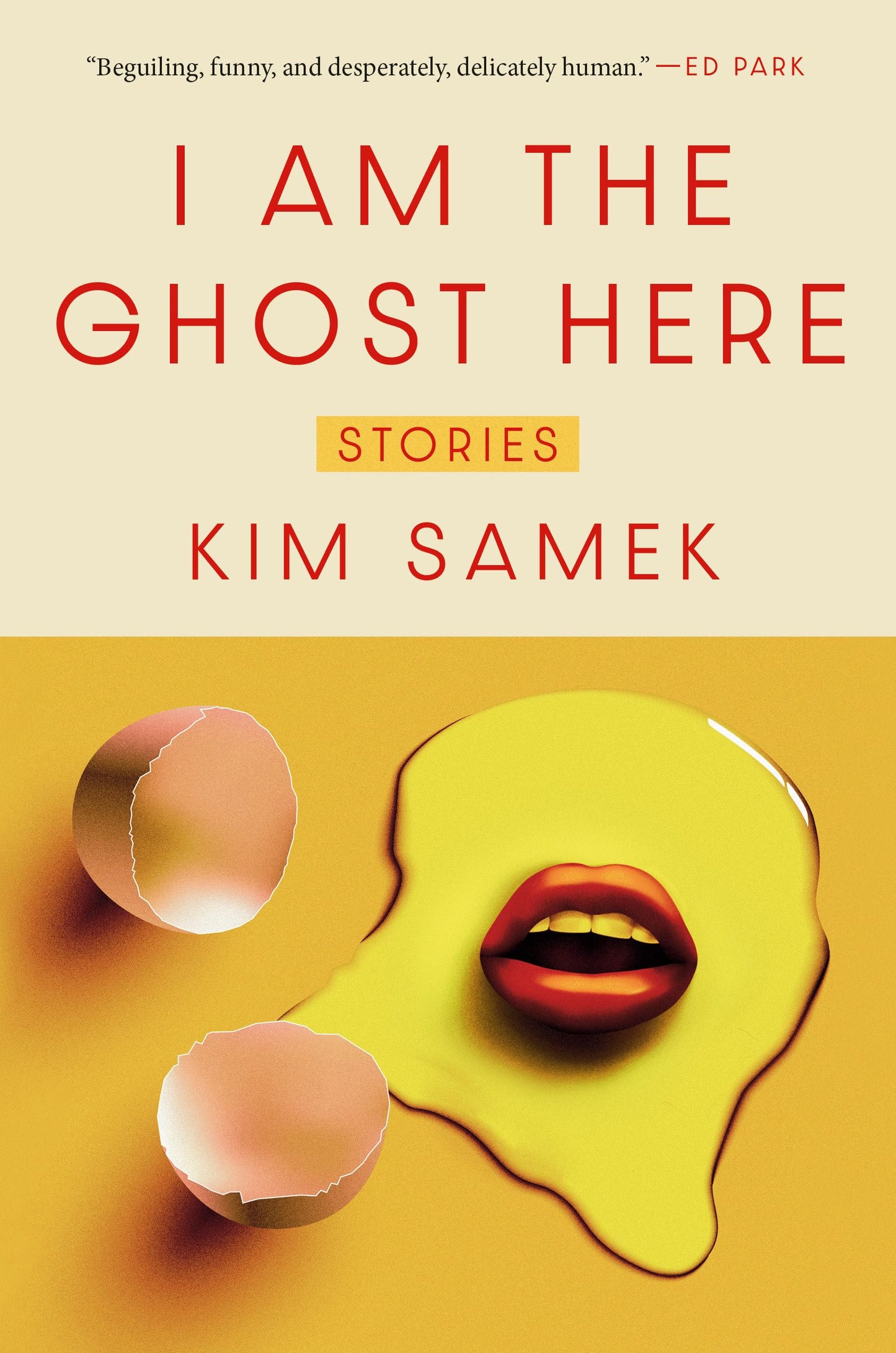 I Am the Ghost Here book cover