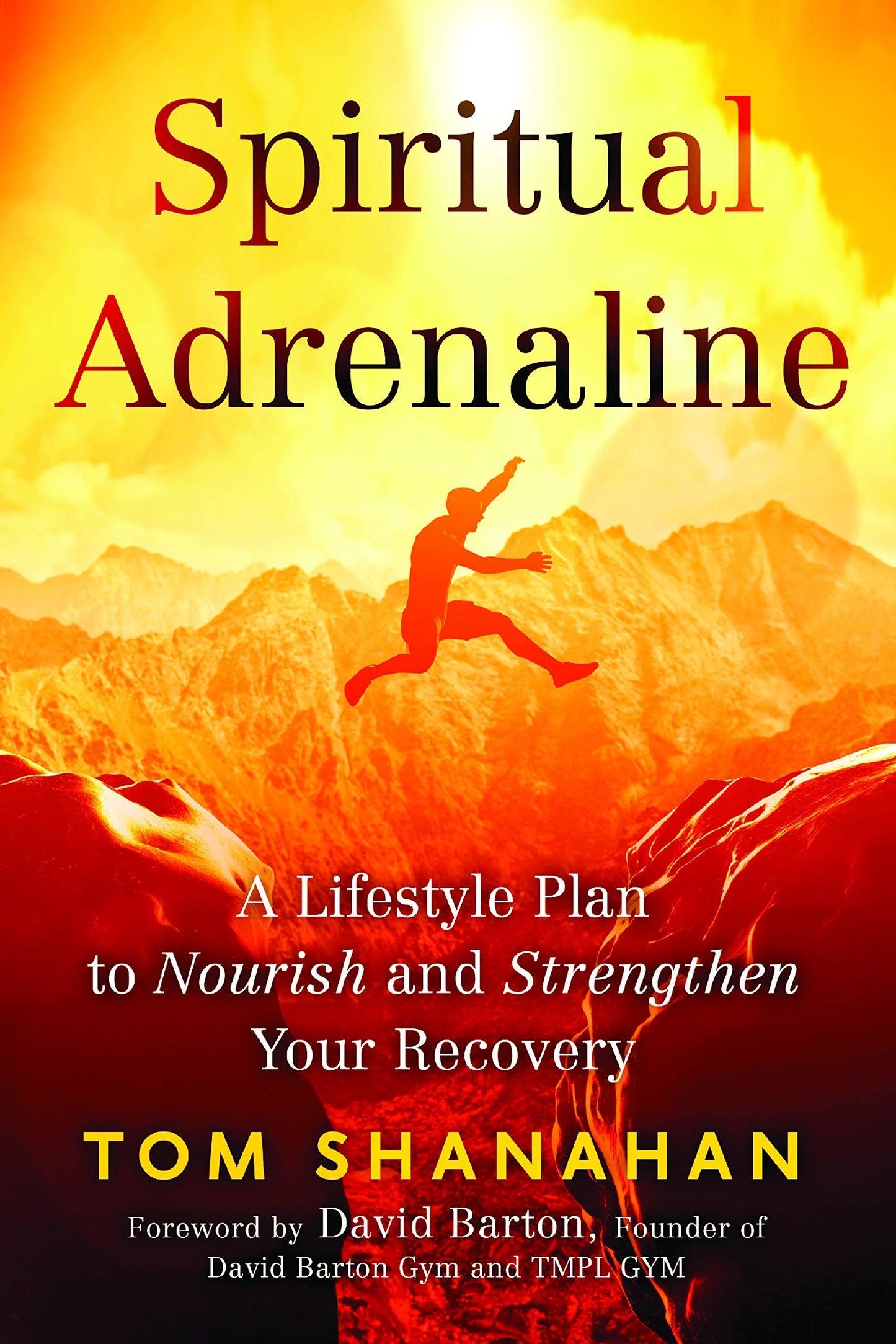 Spiritual Adrenaline: A Lifestyle Plan to Nourish and Strengthen Your Recovery book cover
