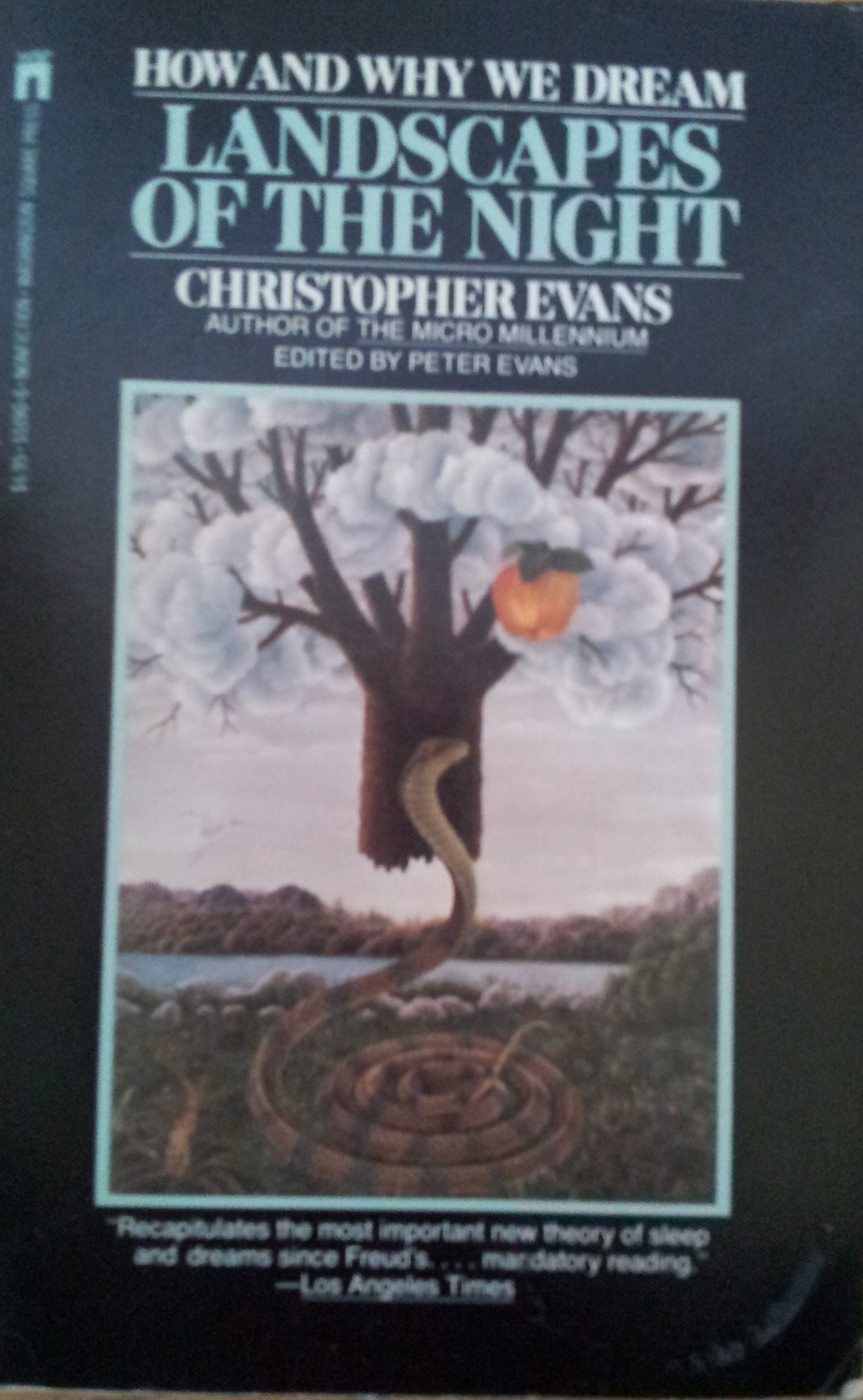 Landscape of Nght book cover
