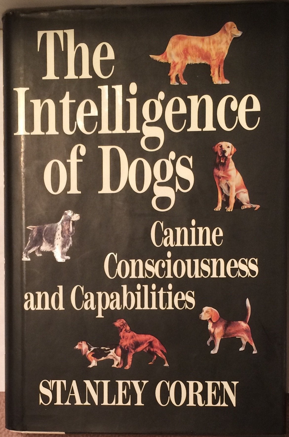 Intelligence of Dogs