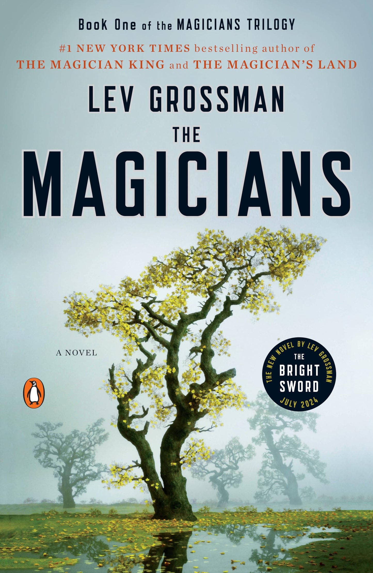 The Magicians book cover