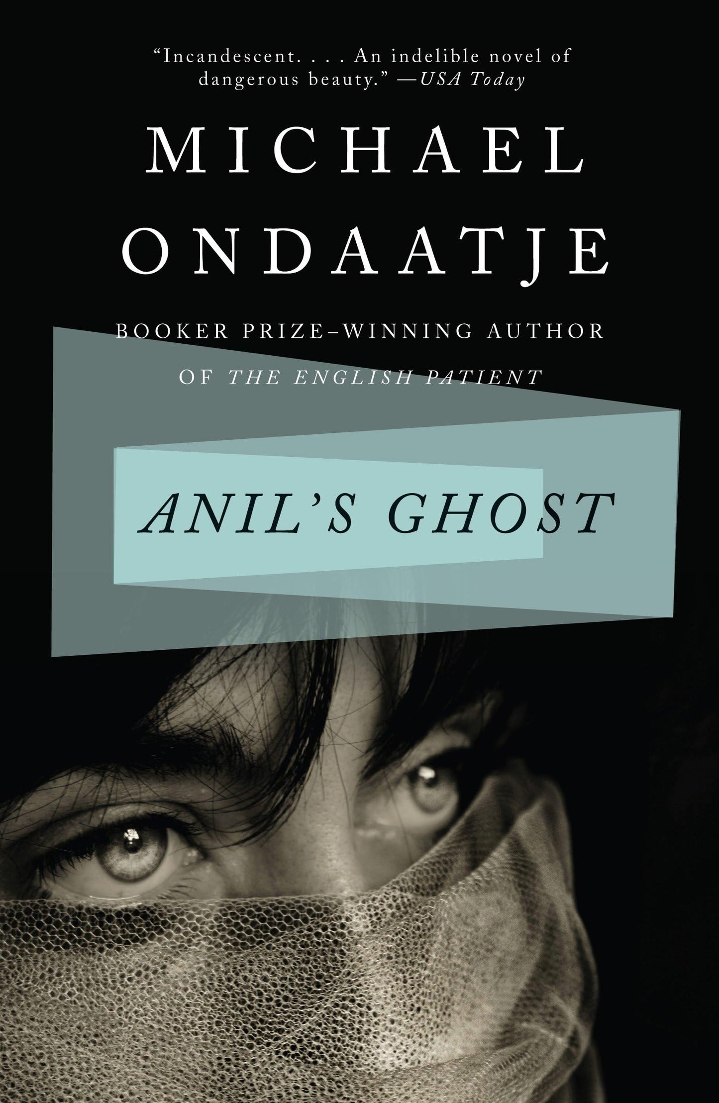 Anil's Ghost book cover