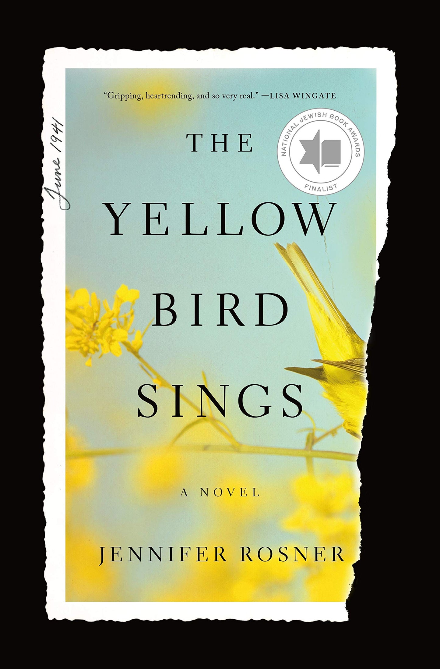 Yellow Bird Sings book cover