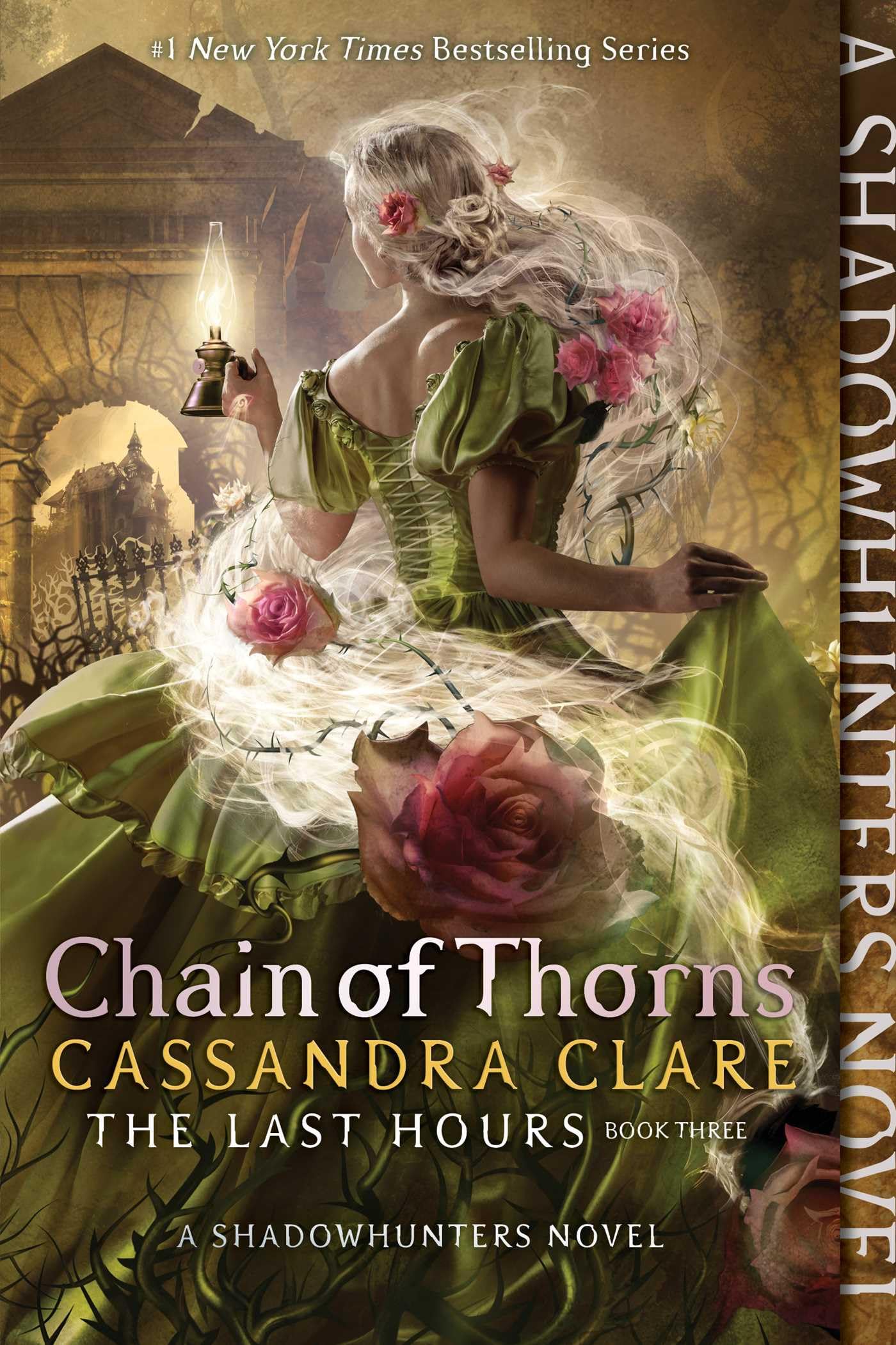 Chain of Thorns book cover