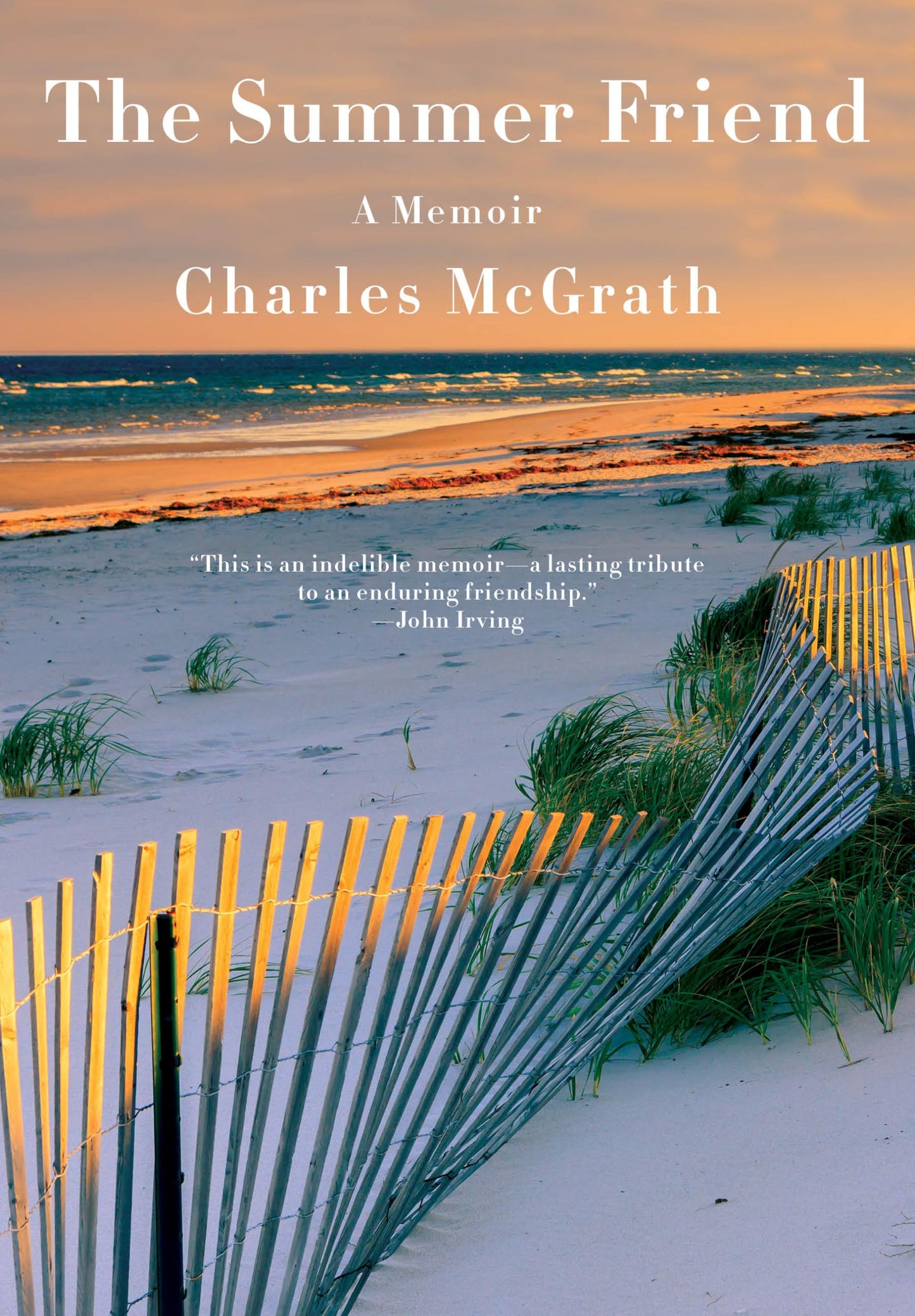Summer Friend: A Memoir book cover
