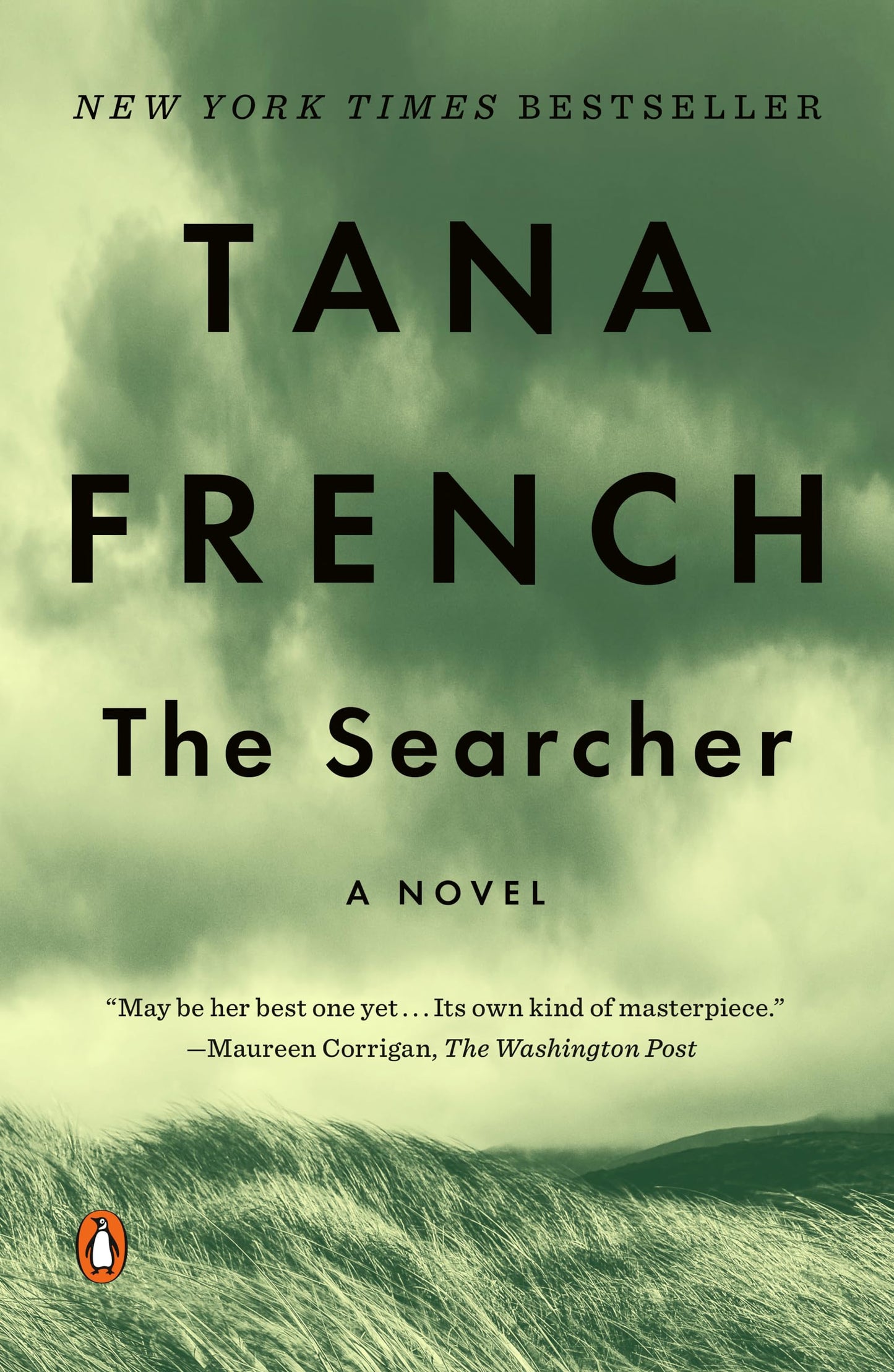 Searcher book cover
